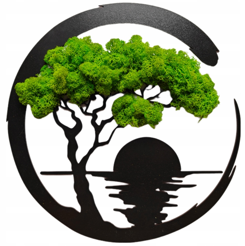 Obraz Z Mchu Zachód Słońca Dla Niej Niego Mech Chrobotek Miłość Na Ściane