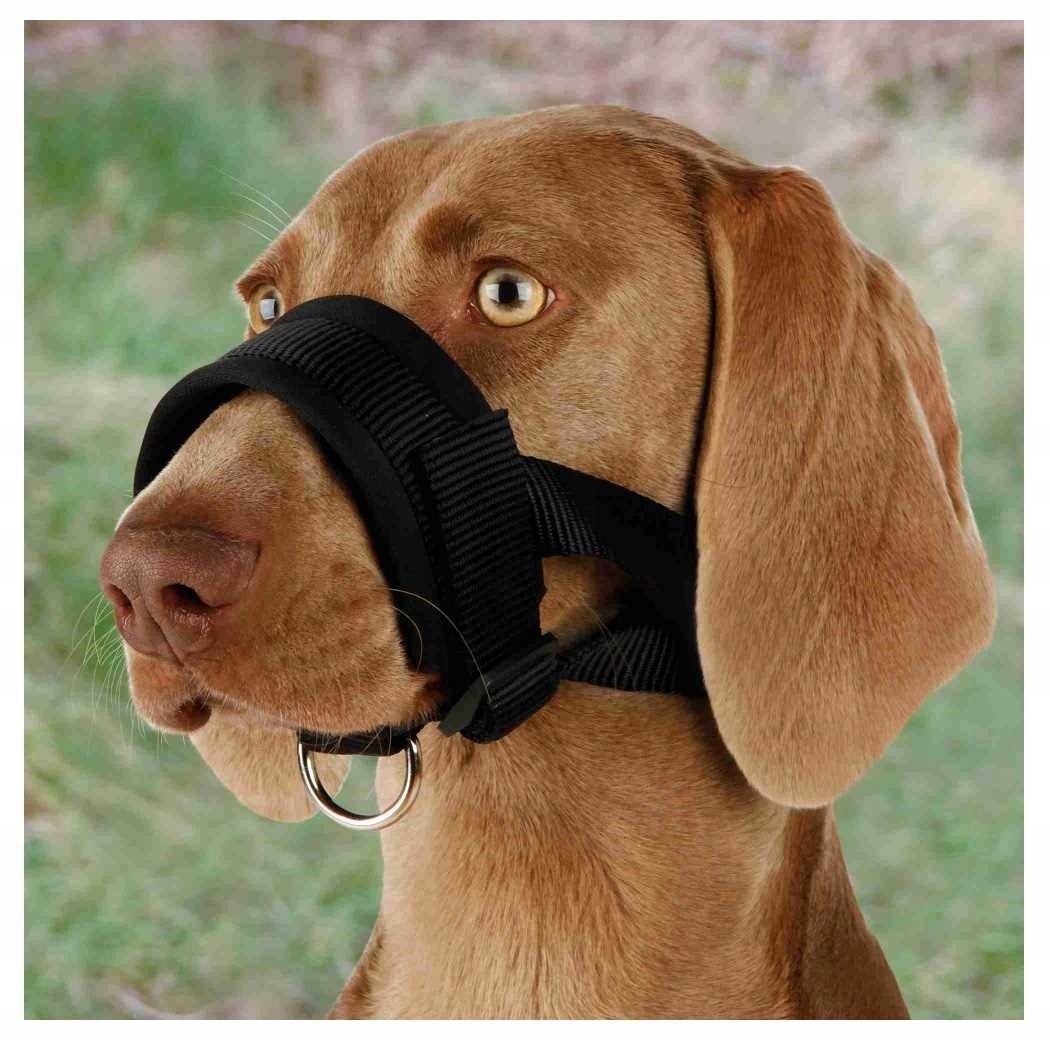 

Trixie Kaganiec nylonowy Uzdowy dla psa XXL