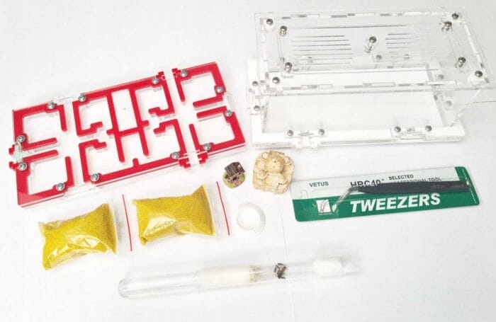 Levně Sada Twenty pro chov mravenců z formikária Vzdělávací sada