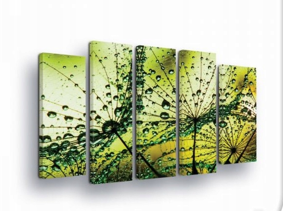 Obraz 150x100 Púpava lekárska rosa kvapky voda makro príroda sviežosť leto