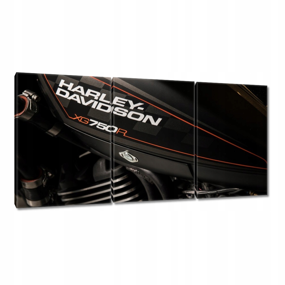 

Obrazy 120x60 Harley Davidson Motocykl