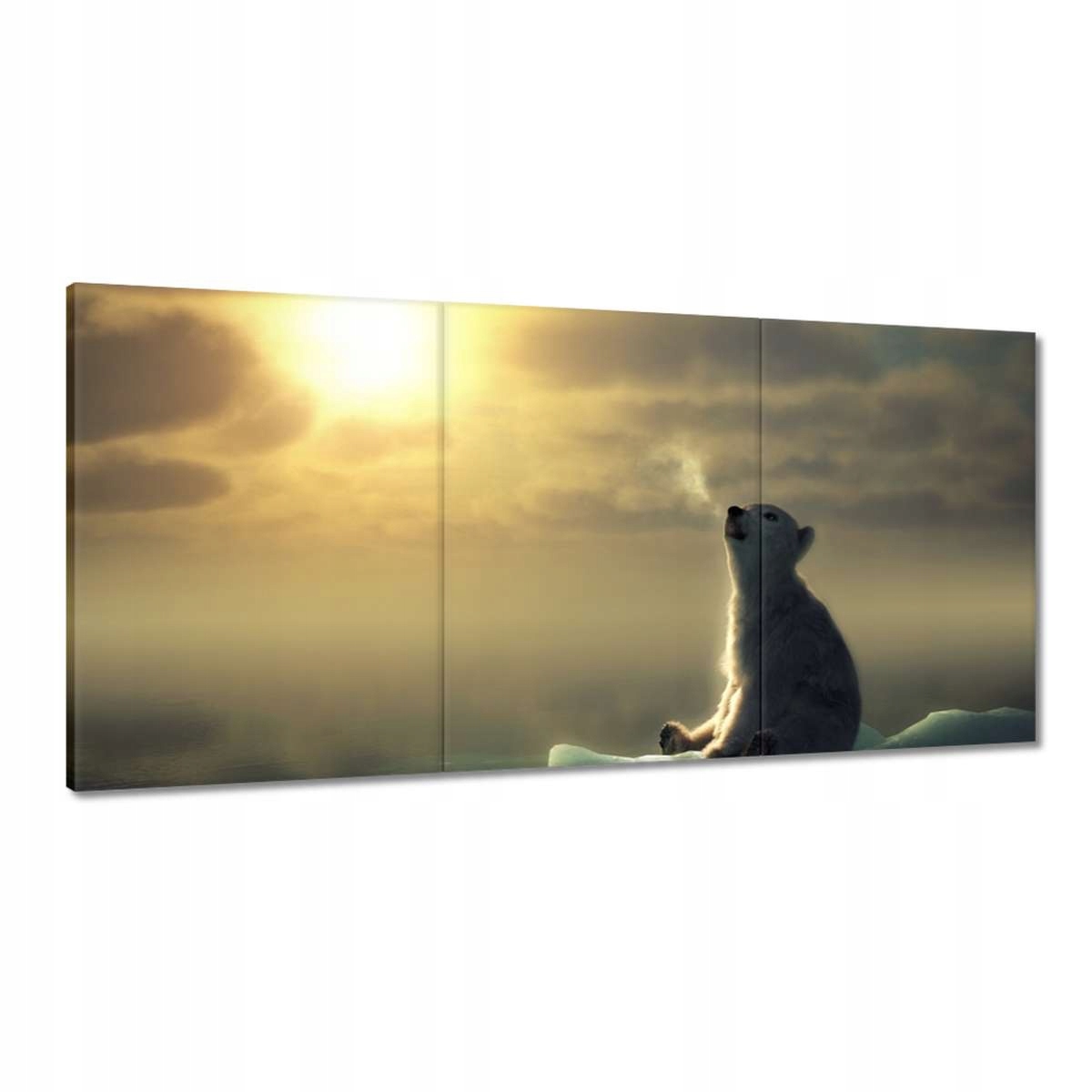 Obrazy 120x60 Zvířata Zvířátka