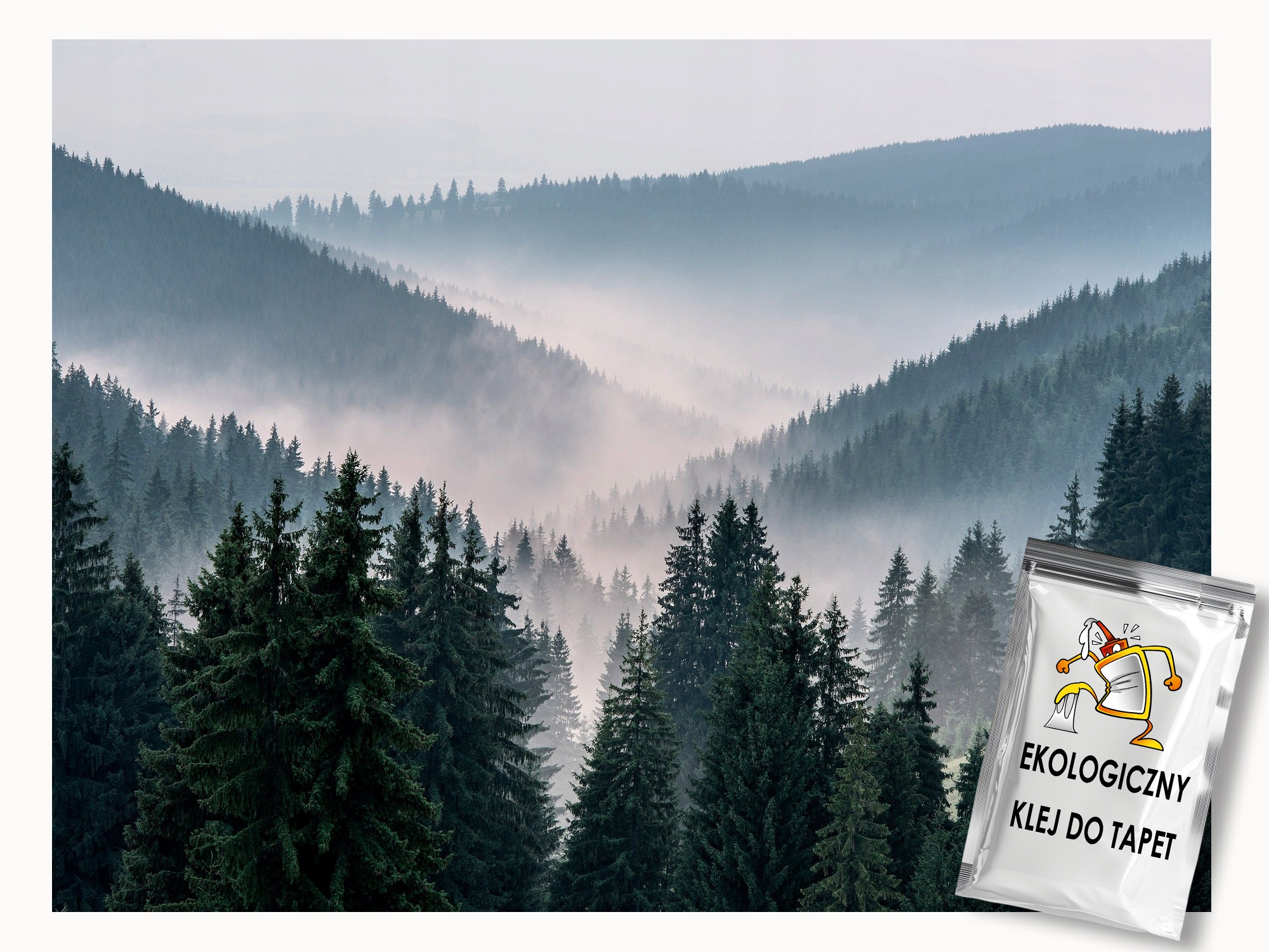 Fototapeta Flizelina Krajina Hory Les Stromy Mlha 400x280 lepidlo