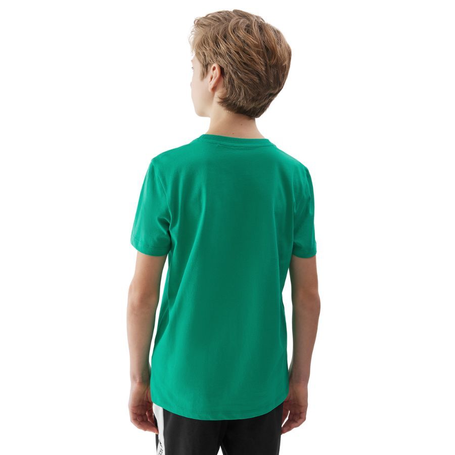 KOSZULKA CHŁOPIĘCA 4F DZIECIĘCA T-SHIRT SPORTOWA NA CO DZIEŃ Kod producenta 4FJAW23TTSHM0795-42S