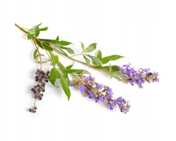 Equiherbs, Zioła dla koni Niepokalanek Pospolity, 1kg: DoyPack 1kg