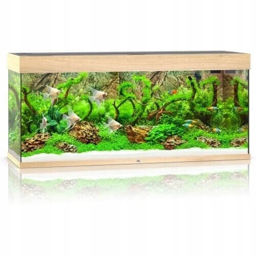 Juwel Rio 240 Led jasne drewno akwarium zestaw