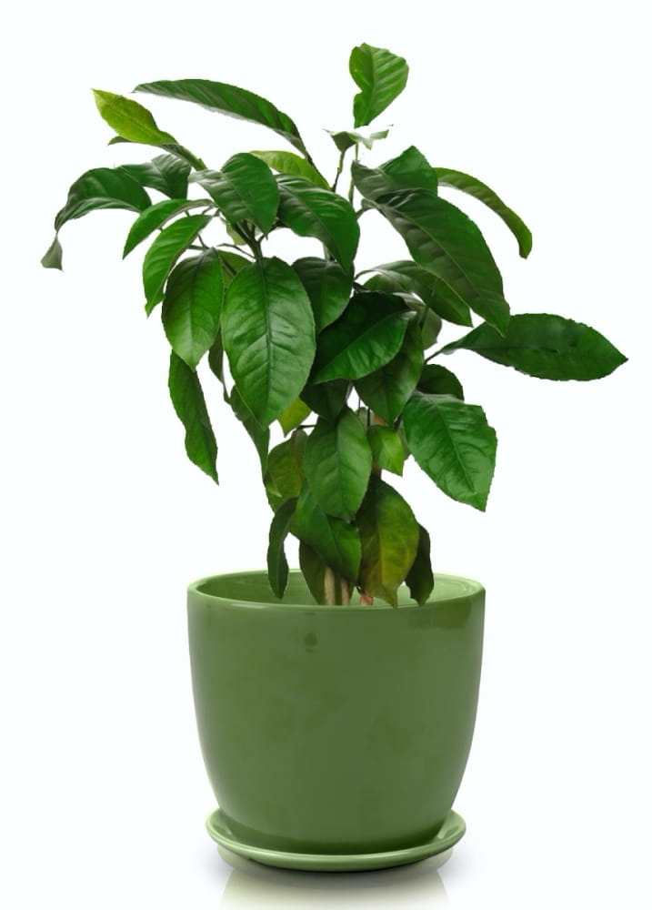 CERAMICZNA DONICZKA Z PODSTAWKIEM 17cm ZIELONA Marka Polnix