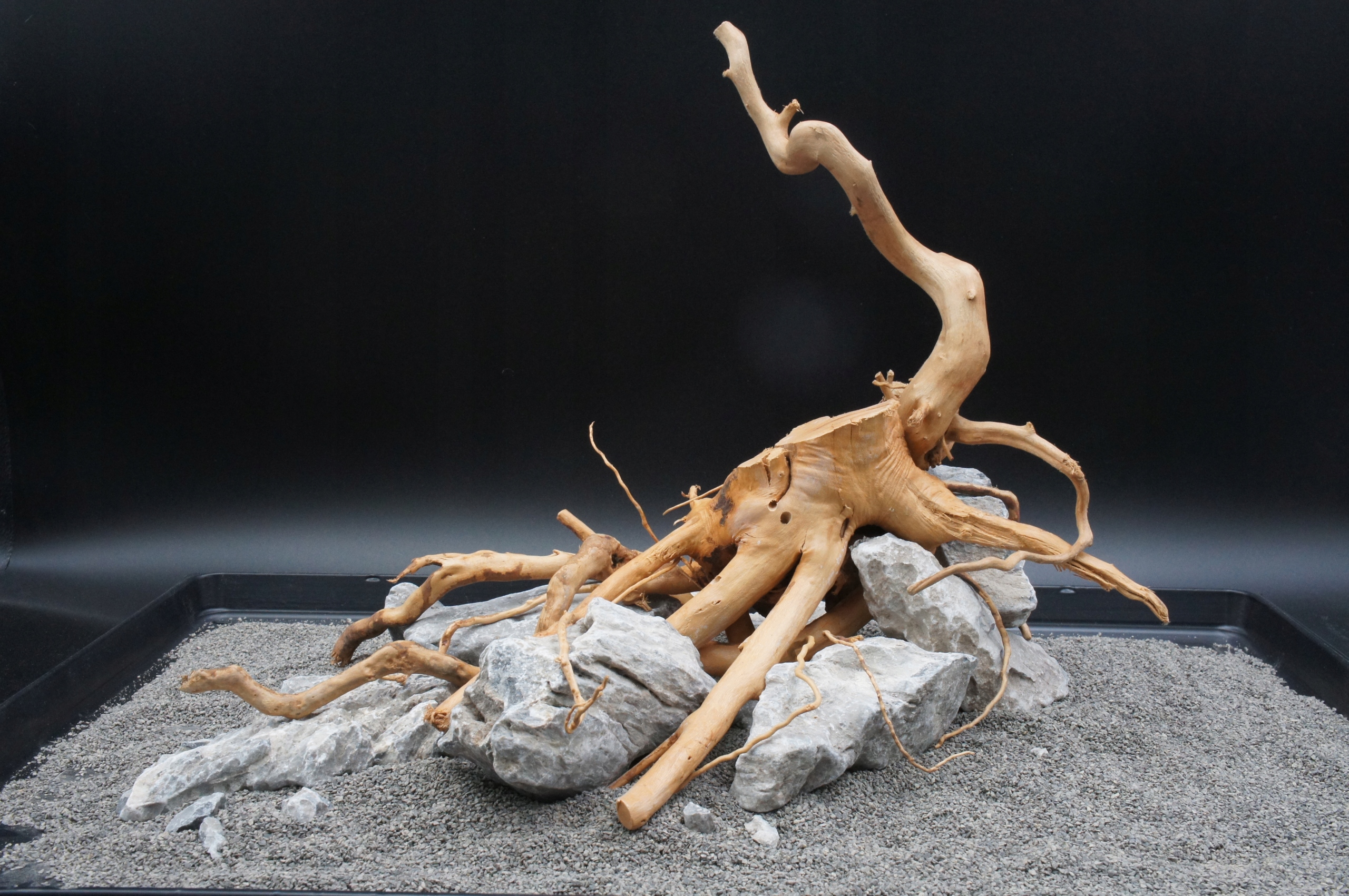 Levně Kořeny červeného mooru kameny scenérie stone Set Z Fotografie (A2)