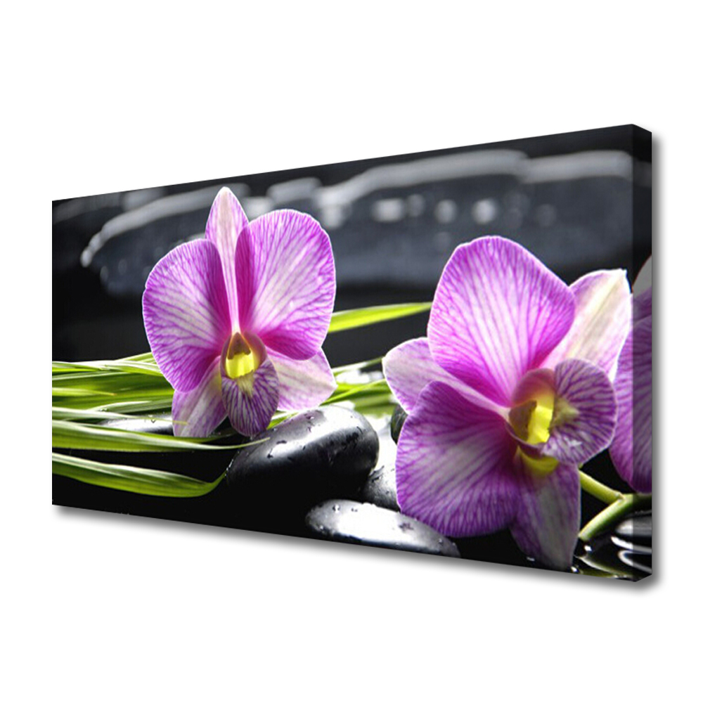 obraz na plátně Orchidej Kameny Zen Spa 120x60