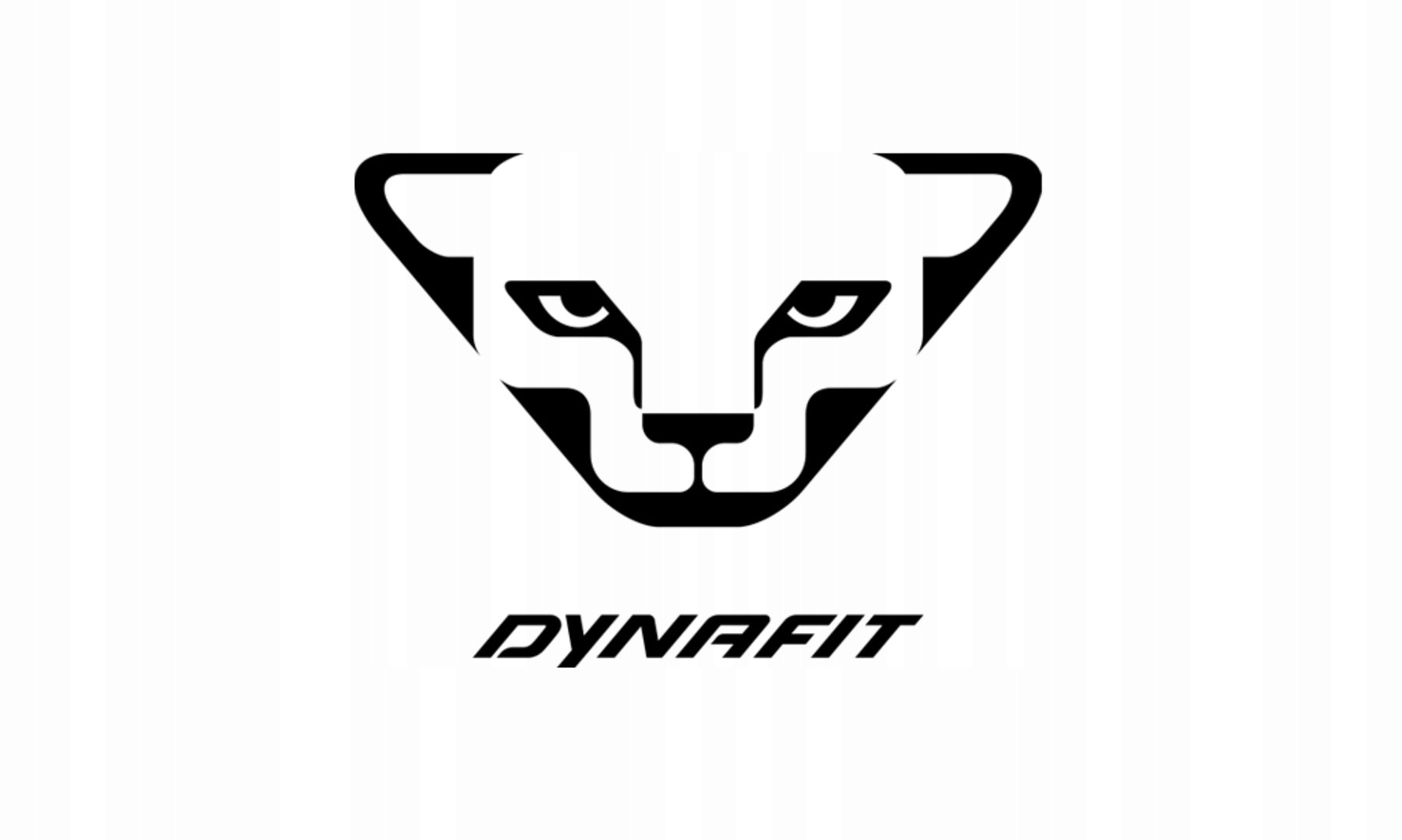 Spodnie skiturowe DYNAFIT Radical 2 rozmiar 36/S Marka Dynafit