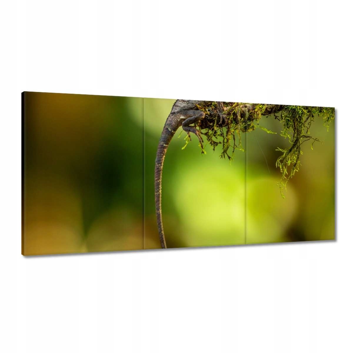 Obrazy 180x90 Zvieratá Zvieratká