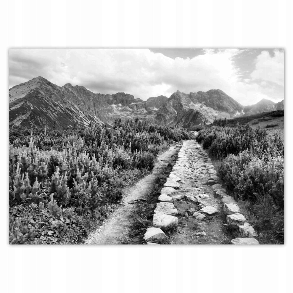 

Naklejki 70x50 Tatry Polskie góry Widok