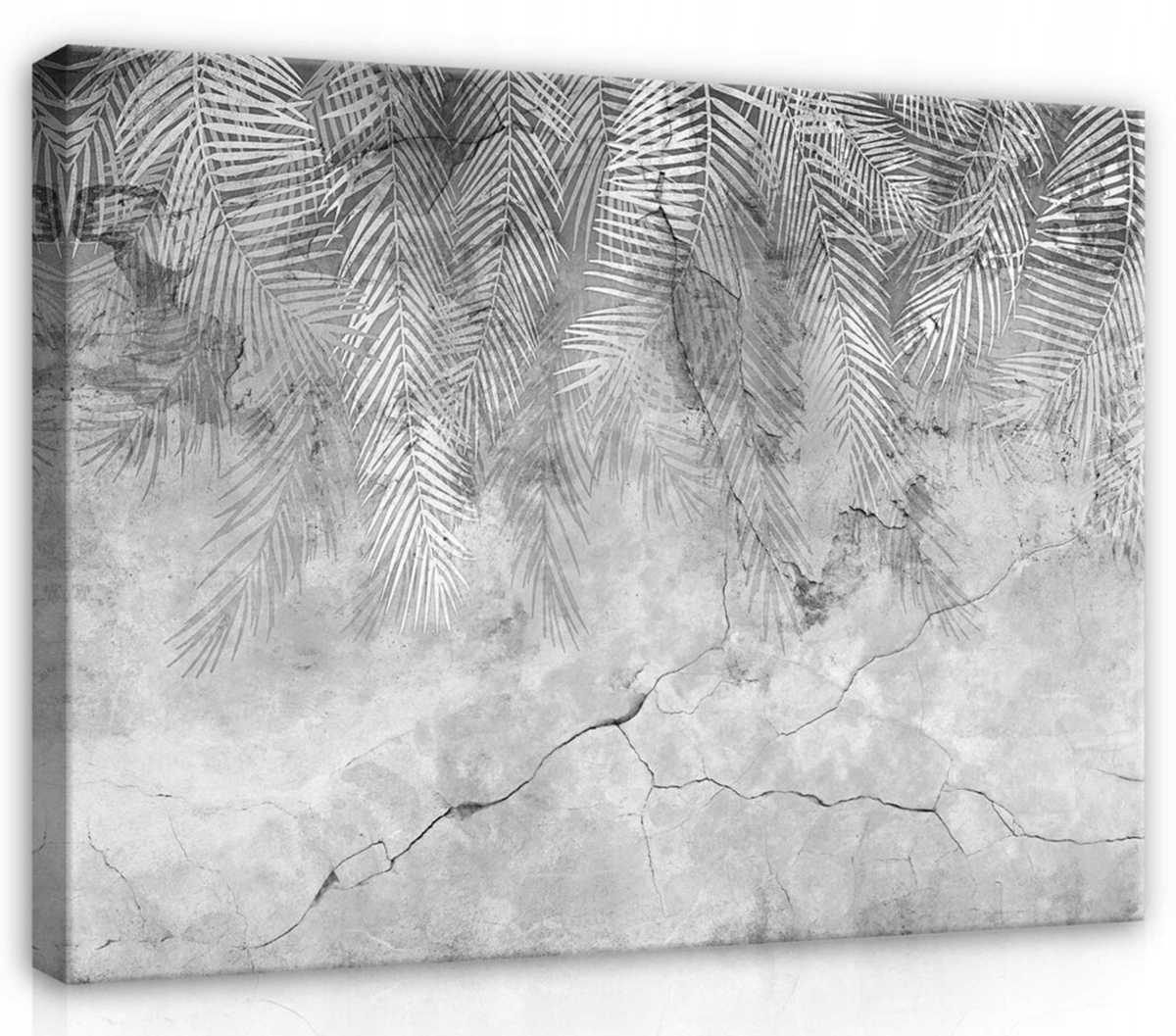 Obraz Na Plátně Canvas 80x60 Imitace betonu, stěna, struktura, listy, palma