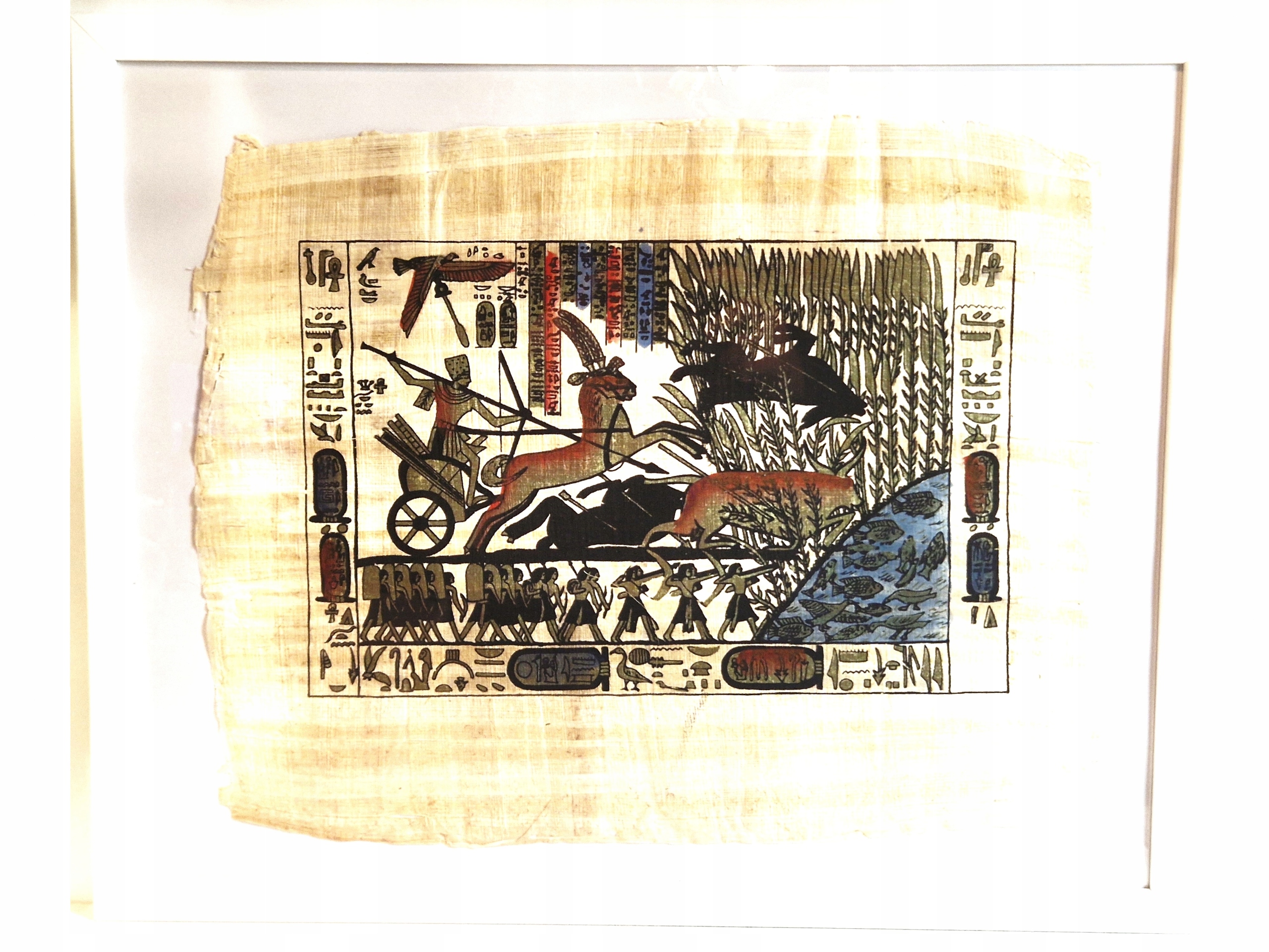 53,0cm x 43,0cm / PAPIRUS - OBRAZ W OSZKLONEJ RAMIE PAMIĄTKA Z EGIPTU 88742