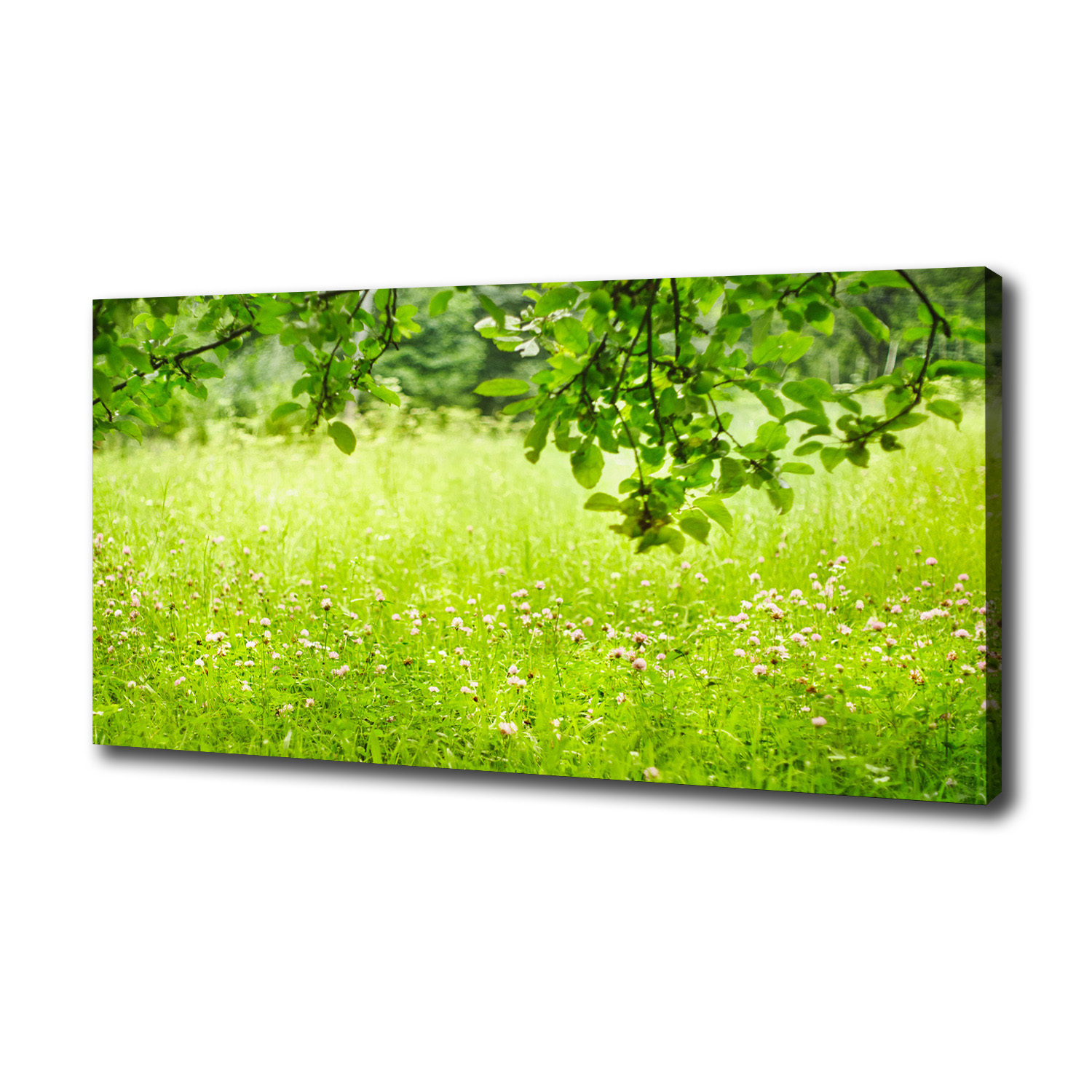 

Duży foto obraz na płótnie Zielona łąka 100x50 cm