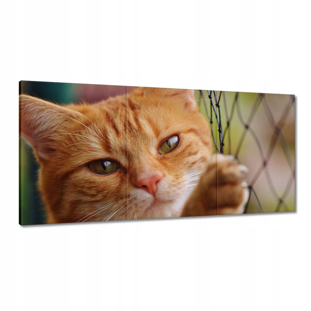 Obrazy 180x90 Mačka Mačky