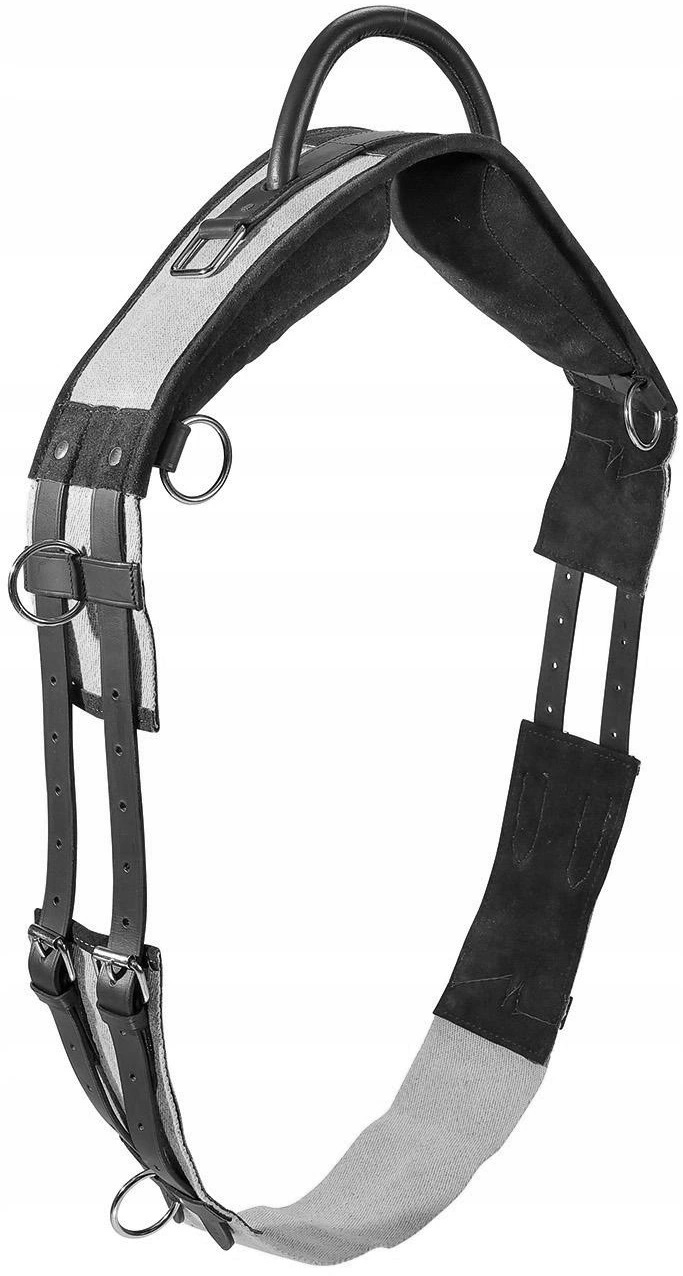 165cm -235cm PAS SZKOLENIOWY DO HIPOTERAPII BUSSE