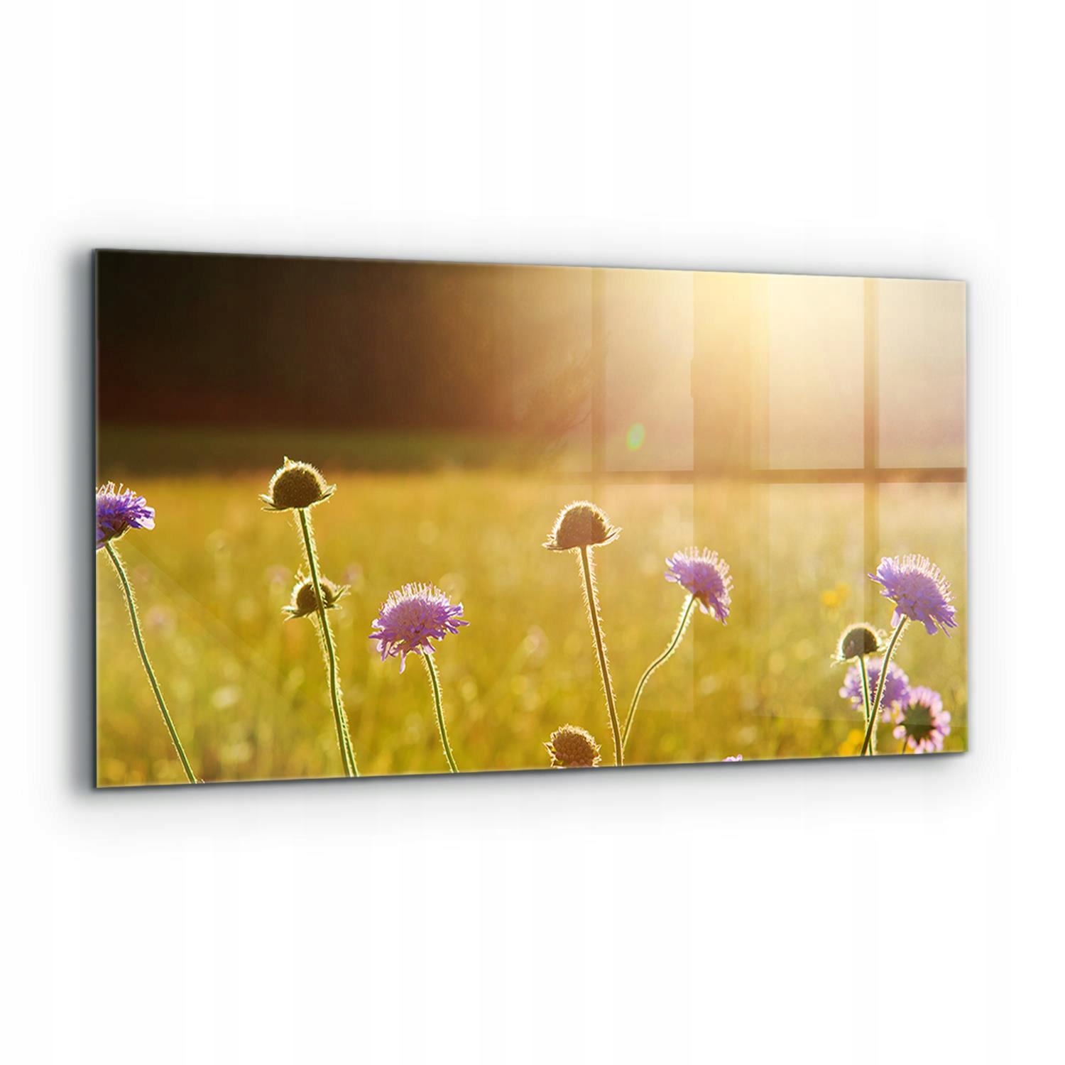 Panel Kuchyňa Letná izba Kvitnúca lúka 120x60 cm