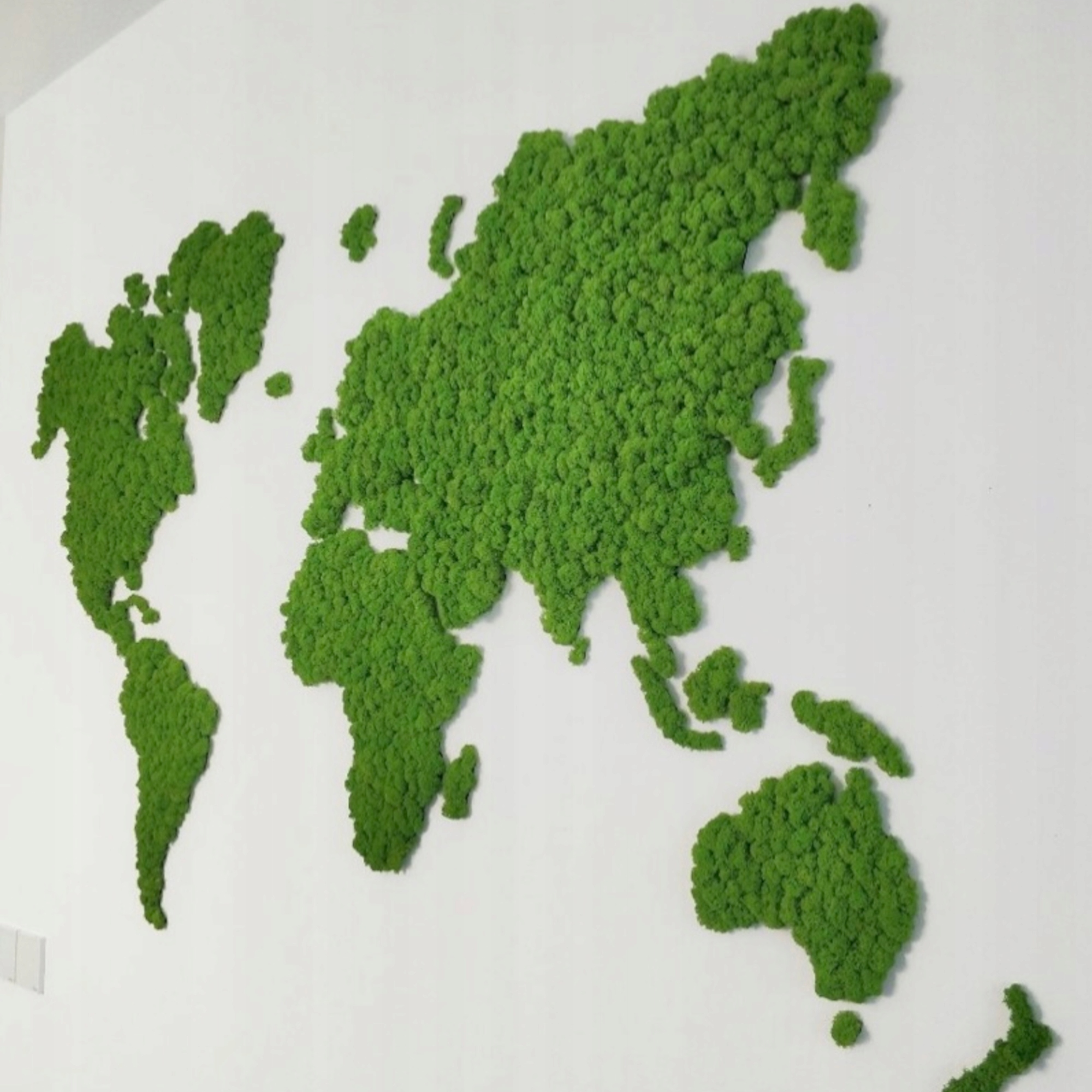 Mapa świata z mchu CHROBOTKA na ścianę 2mx1m DUŻA! Marka inna