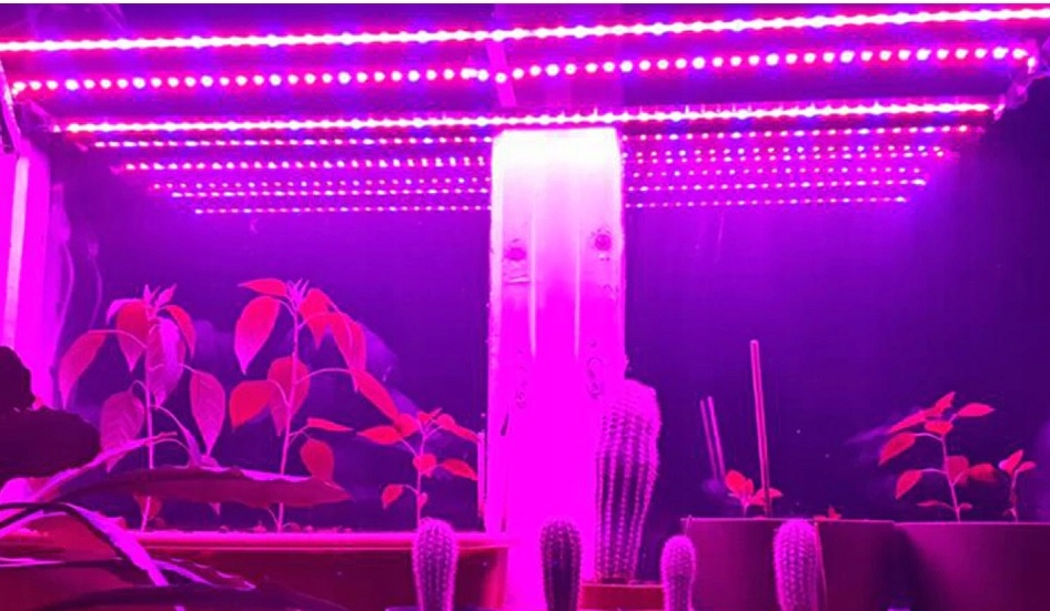 ZESTAW LED GROW DO REGAŁU IP65 ROŚLINY 4X120 CM Kod producenta ZLG-4X120