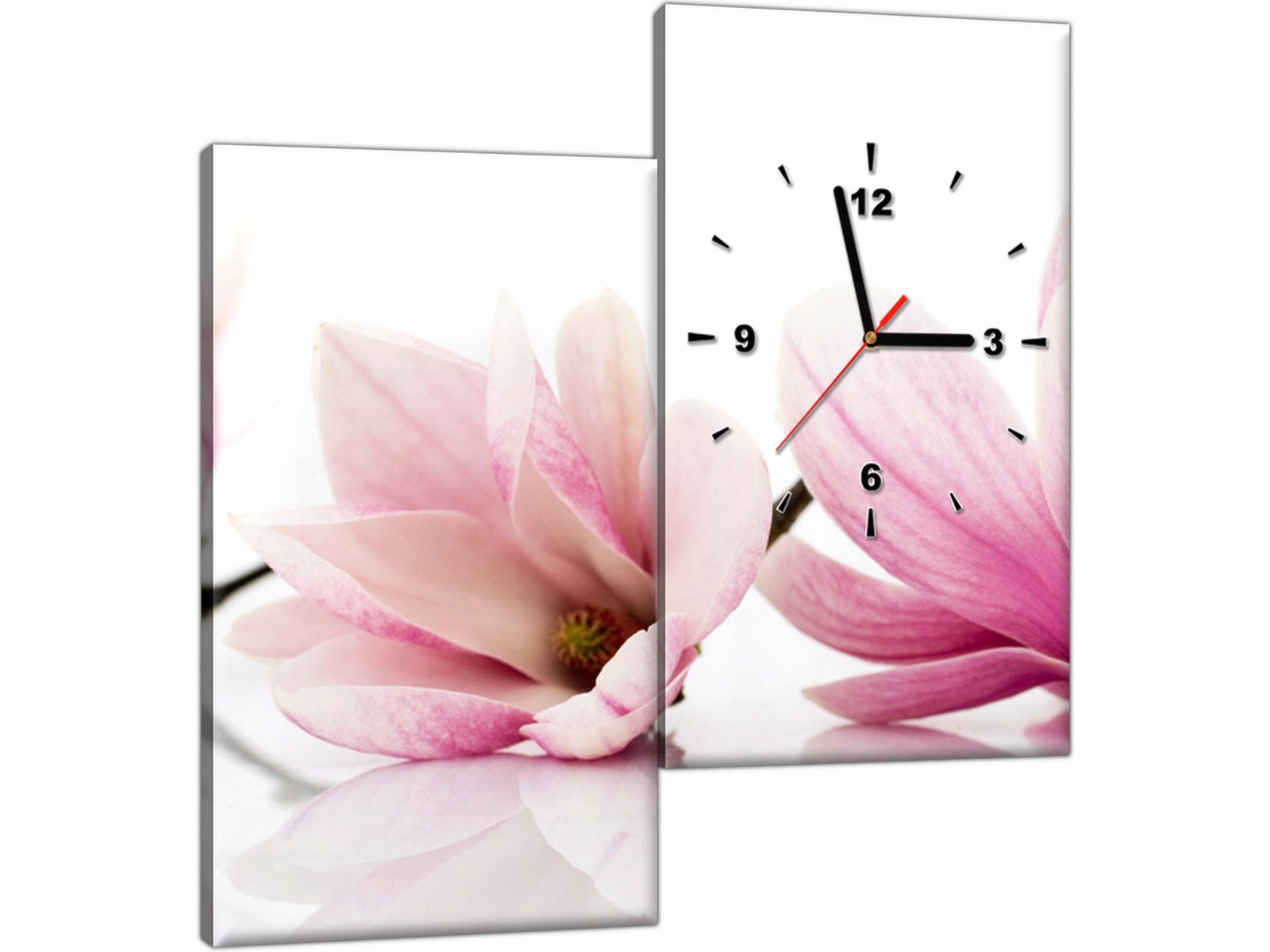 

Obraz z zegarem 60x60 Magnolie kwiaty do salonu