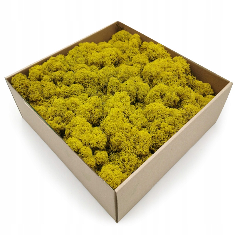 500g netto MECH CHROBOTEK reniferowy OCZYSZCZONY