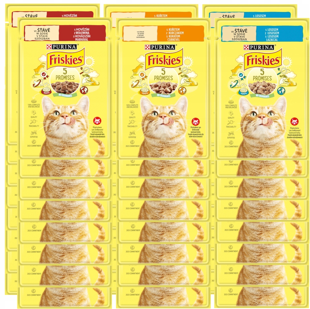 Levně Purina Friskies V Omáčce MIX Chutí Pro Kočky 48x85g