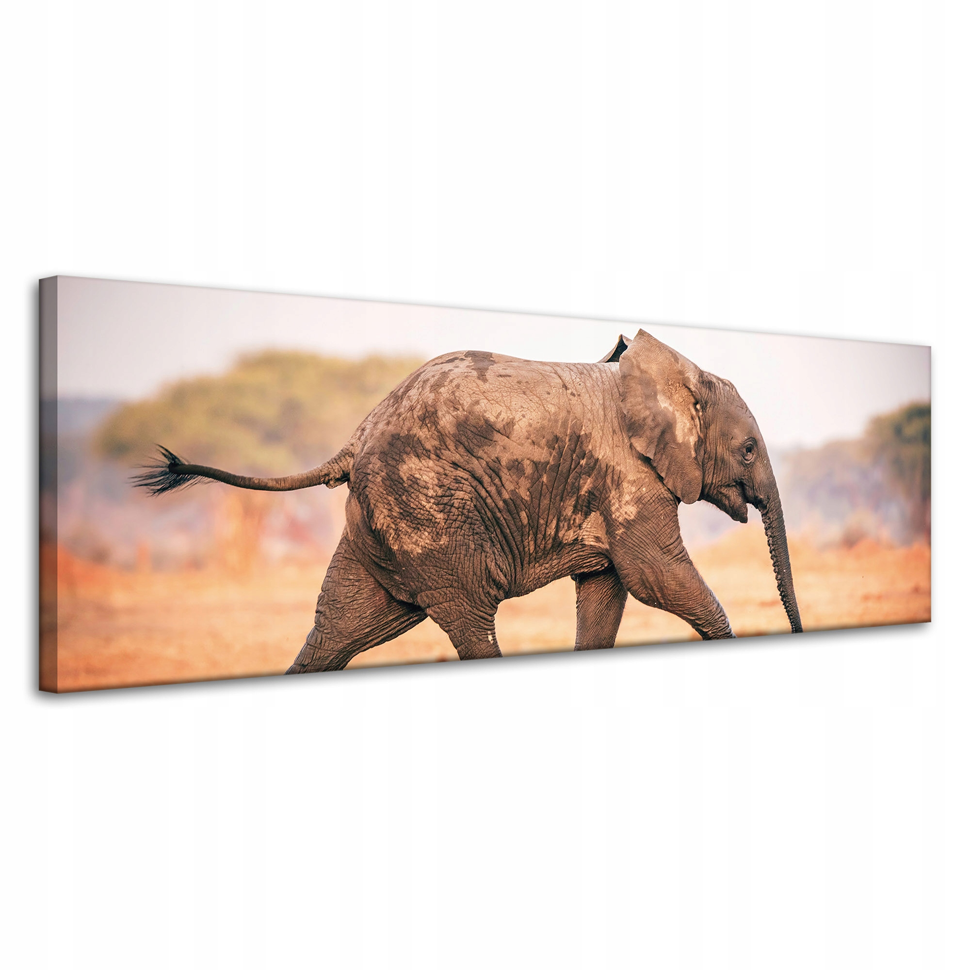 Obraz na plátně Blátivý běžící slon Příroda 120x40 cm