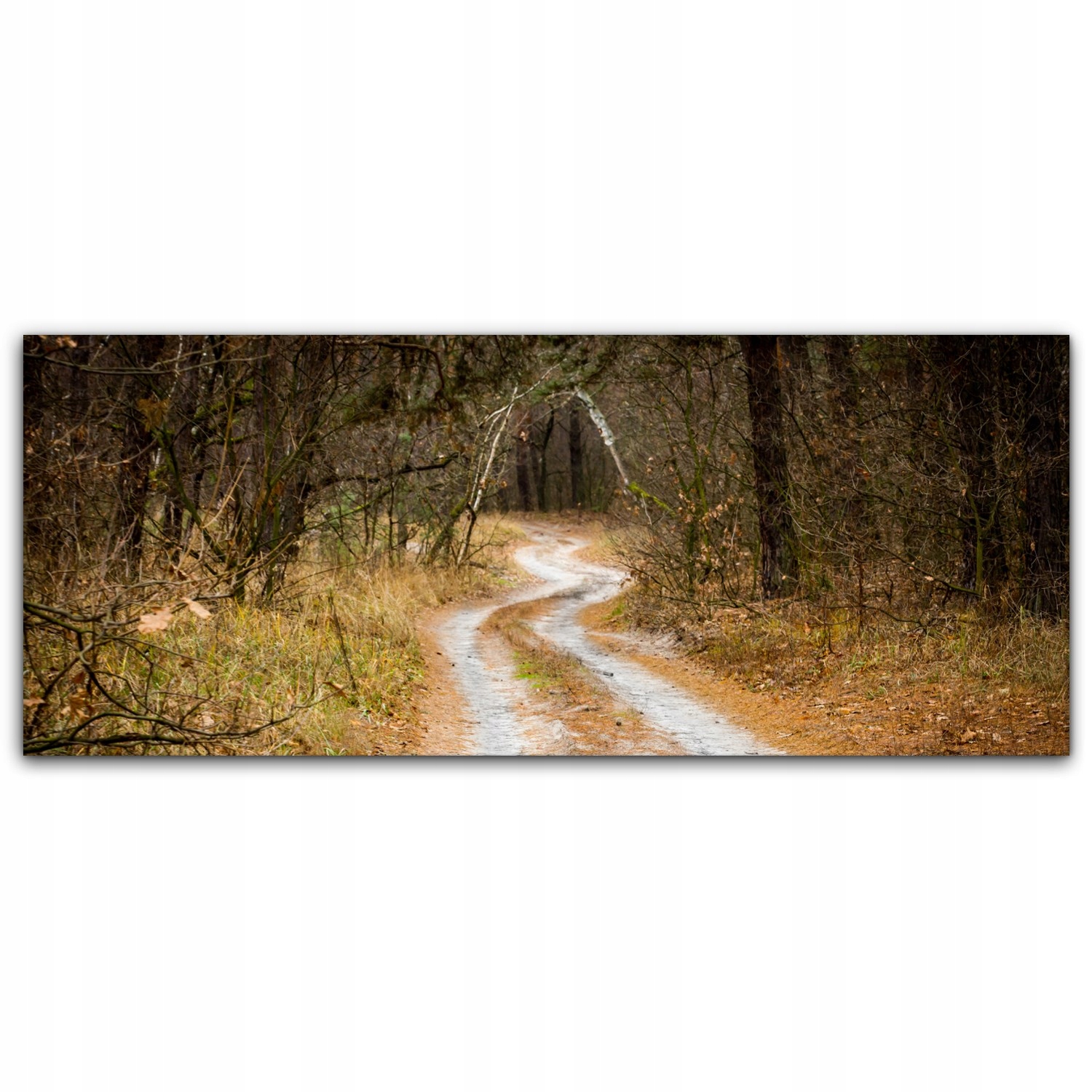

Canvas płótno do sypialni 125x50 Droga Las Drzewa