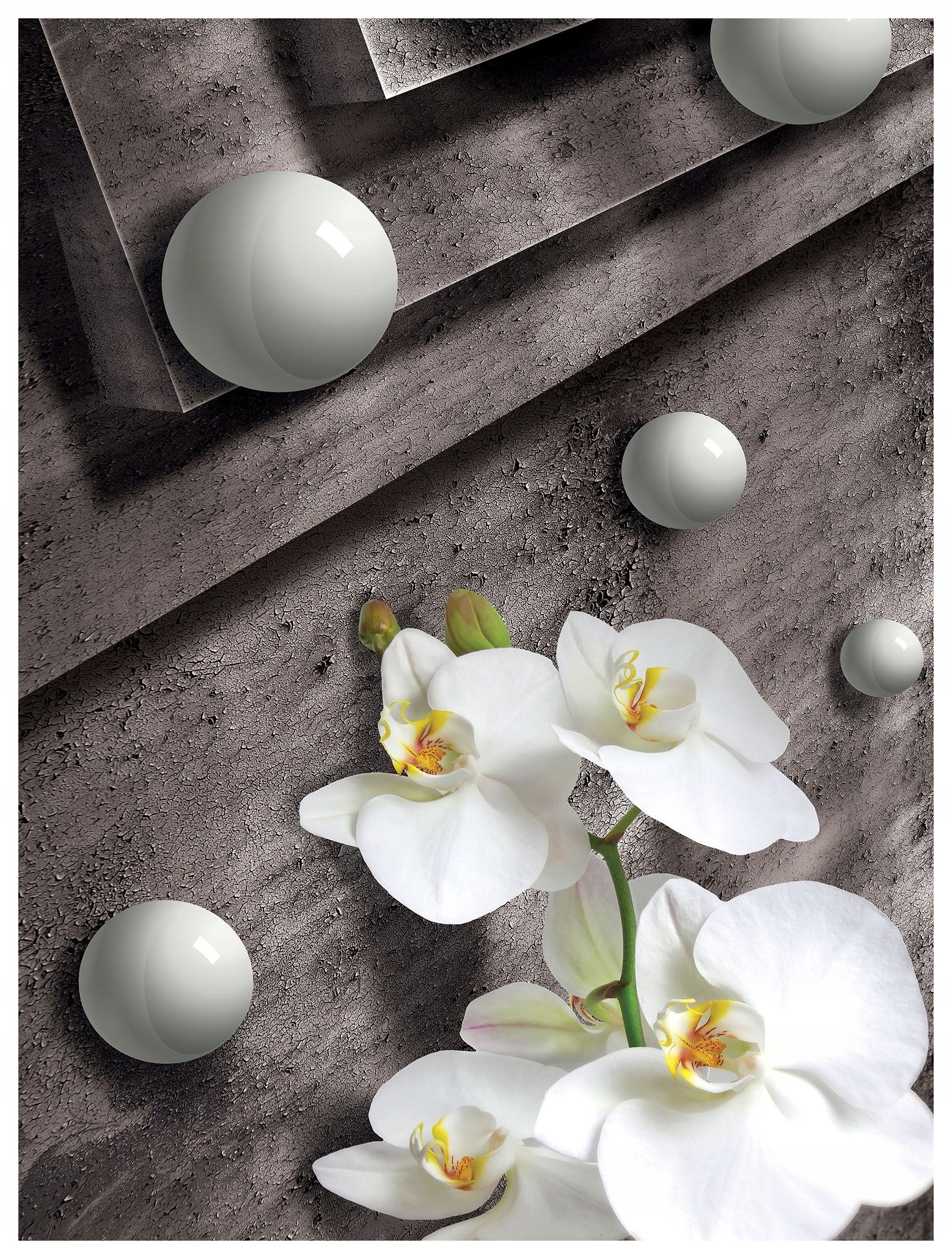 Fototapeta Bílé orchideje Šedá a geometrie 184x254 vinylová lepidlo