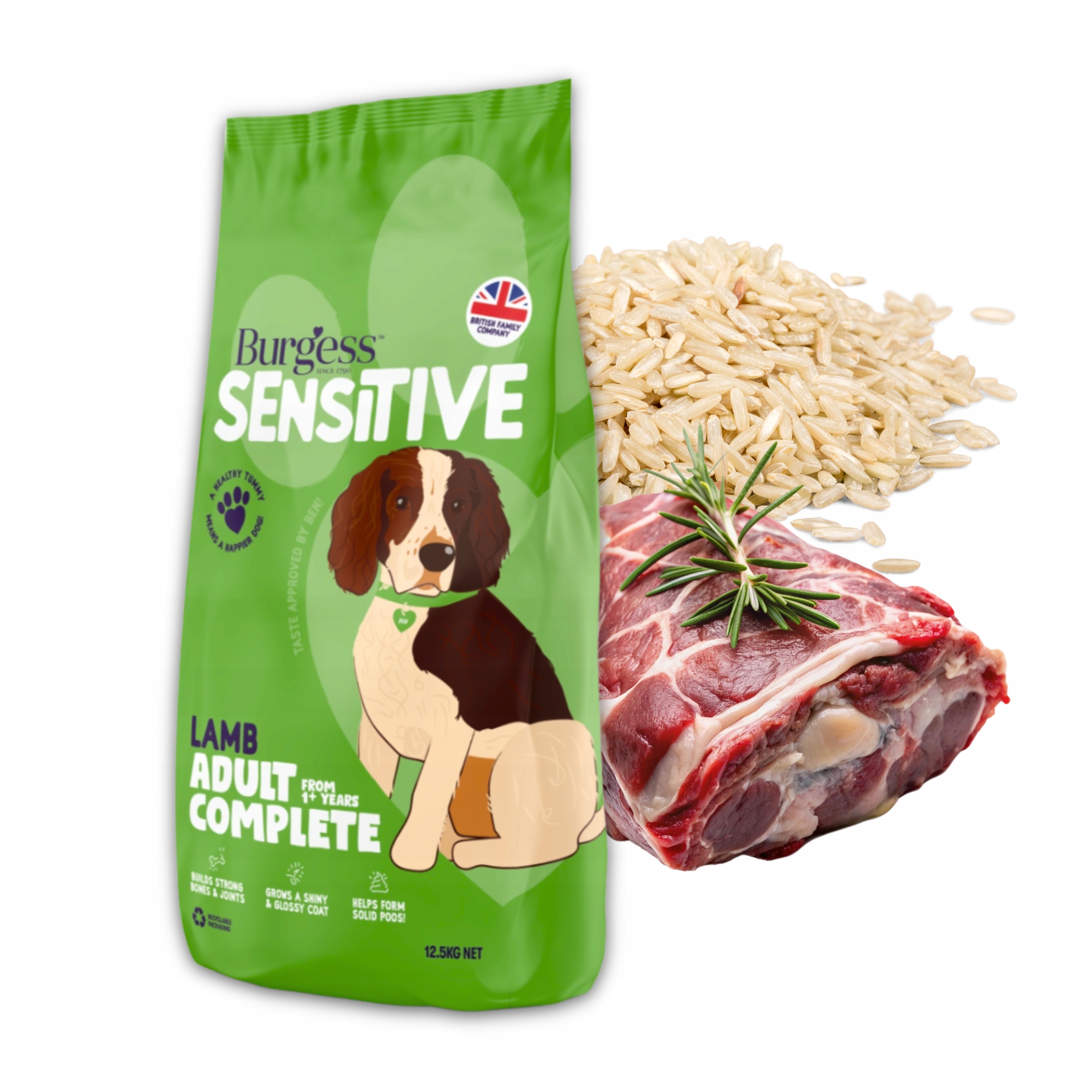 Levně Suché Krmivo pro psa Hypoalergenní Burgess Sensitive Jehněčí rýže 12,5 kg