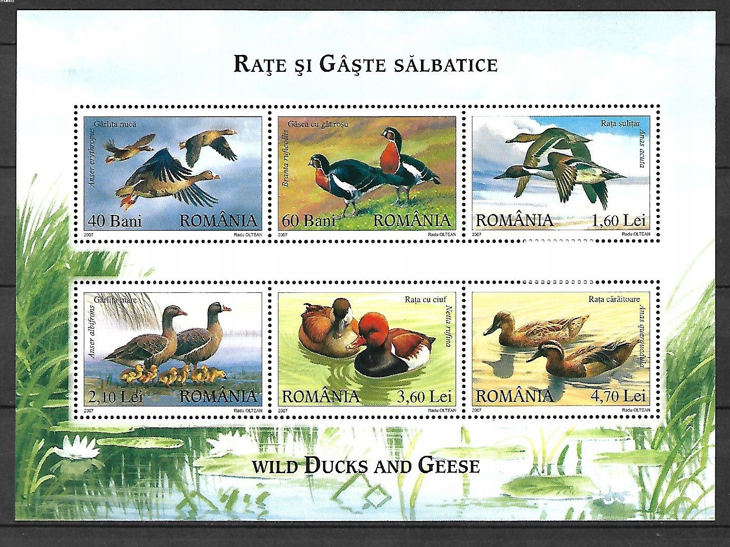 RUMUNIA ARKUSIK 6213 - 6218 PTAKI, CZYSTE