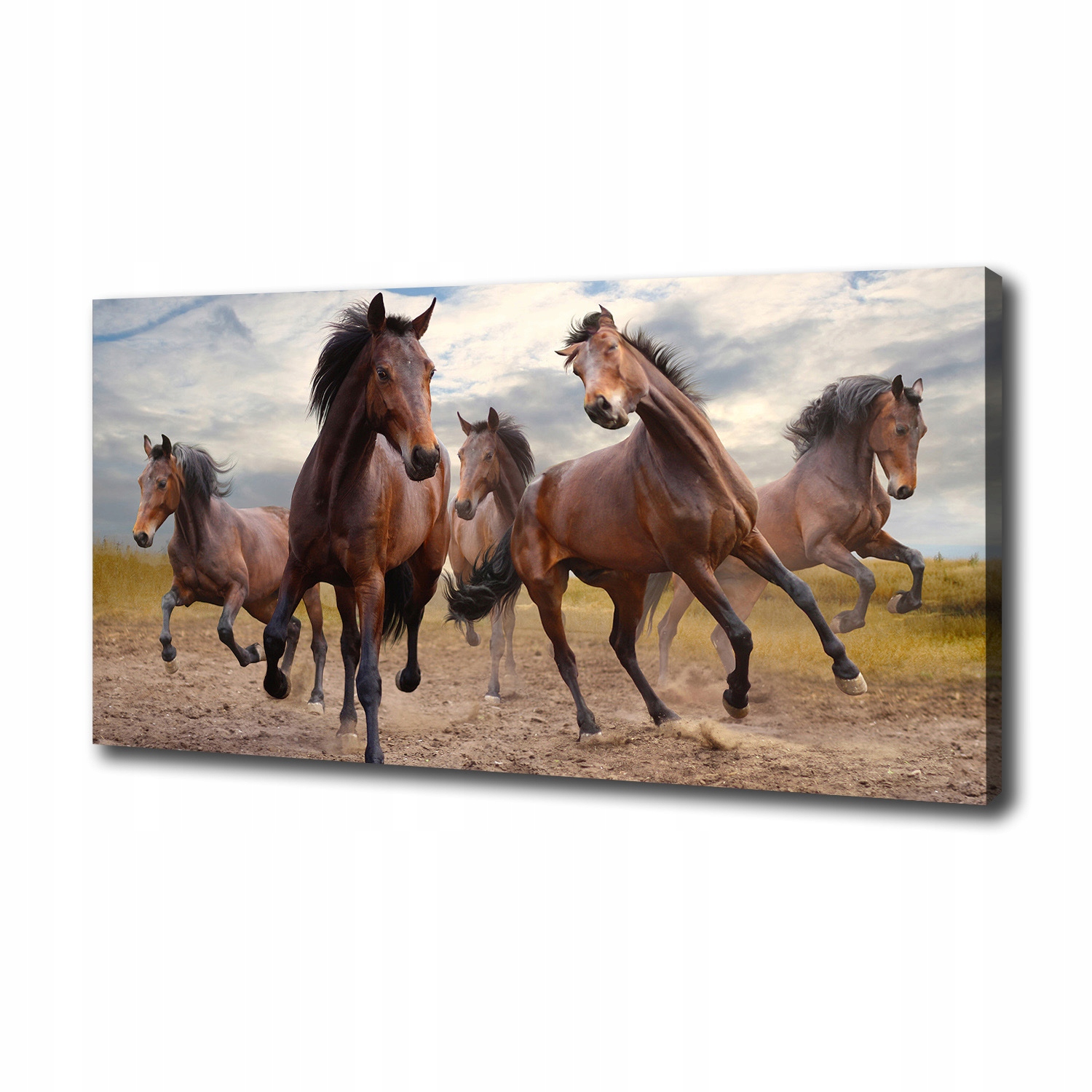 

Foto obraz canvas na ścianę Pięć koni 100x50 cm