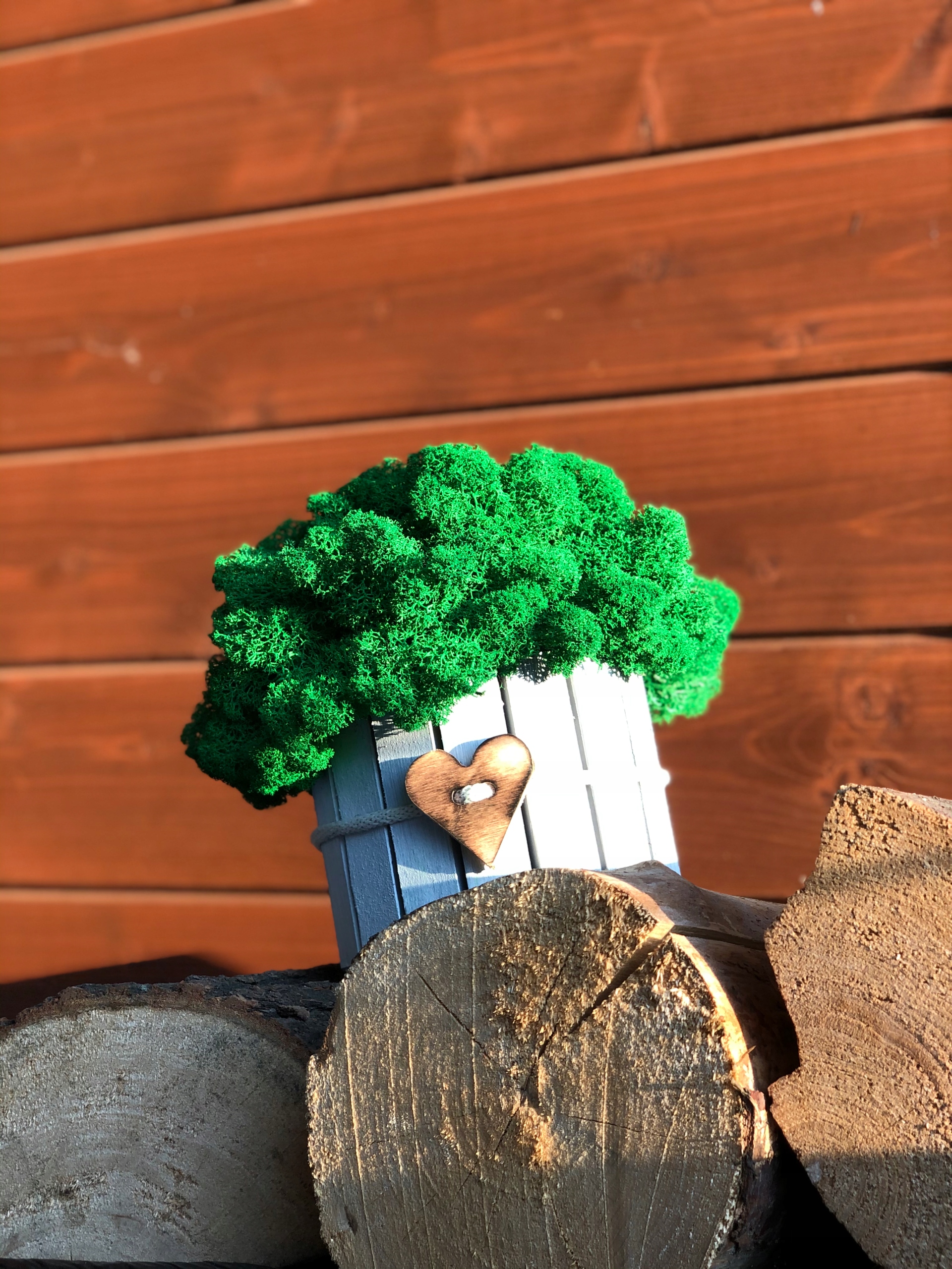 MECH CHROBOTEK STROIK OZDOBA MODA DEKORACJA DREWNO Kolor ciemny zielony