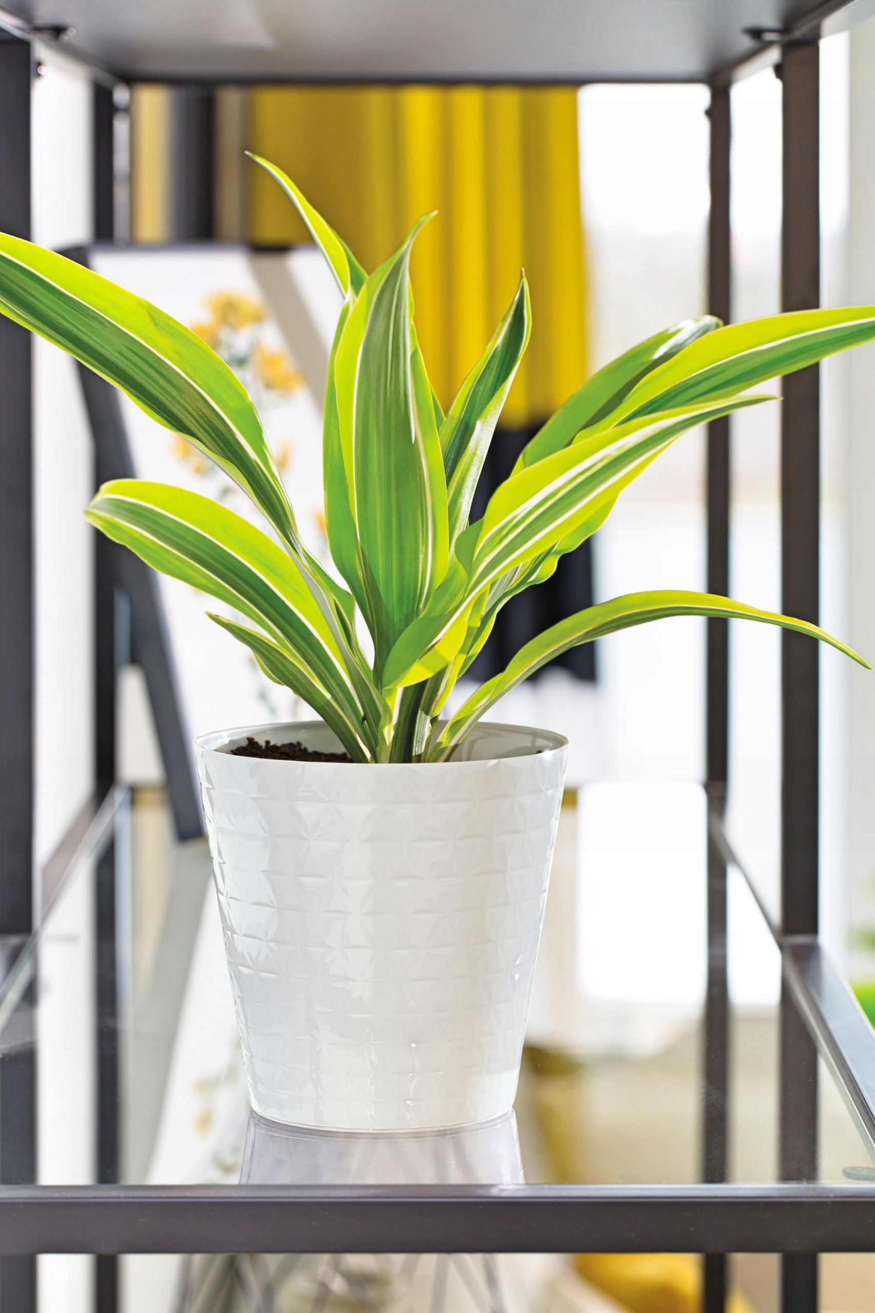 Osłonka Diament petit 11 biała jak ceramiczna Marka Form-Plastic