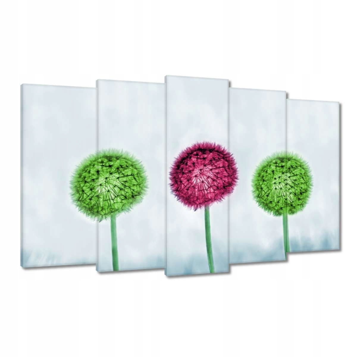 Obrazy 100x60 Barevné pampelišky