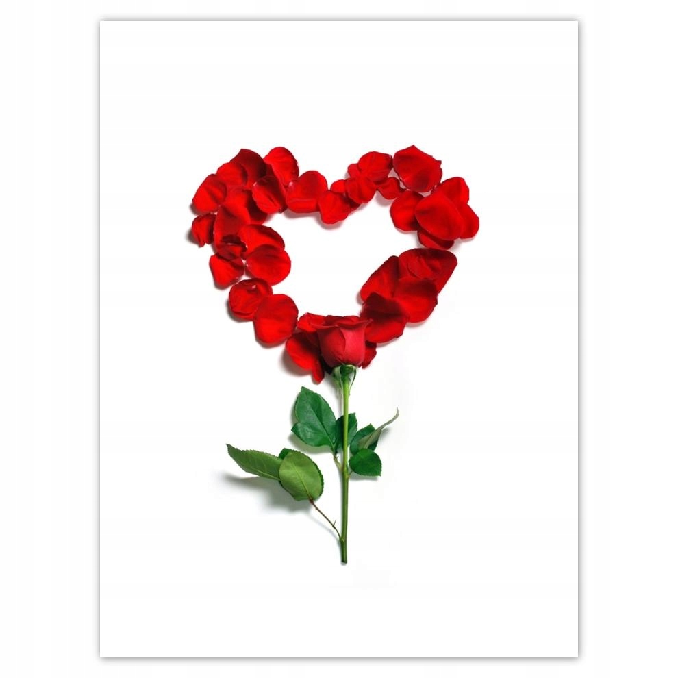 

Plakat 30x40 Różane Serce Dowód Miłość