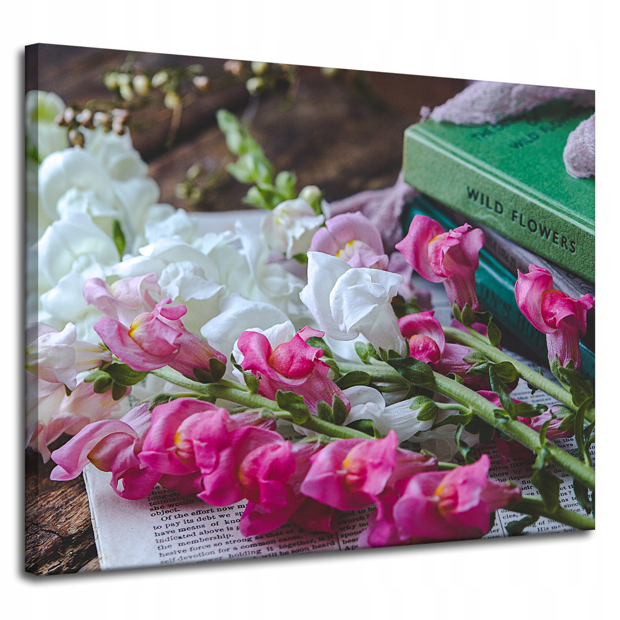 Obraz Canvas Botanika Wyżlin větší 100x80 cm