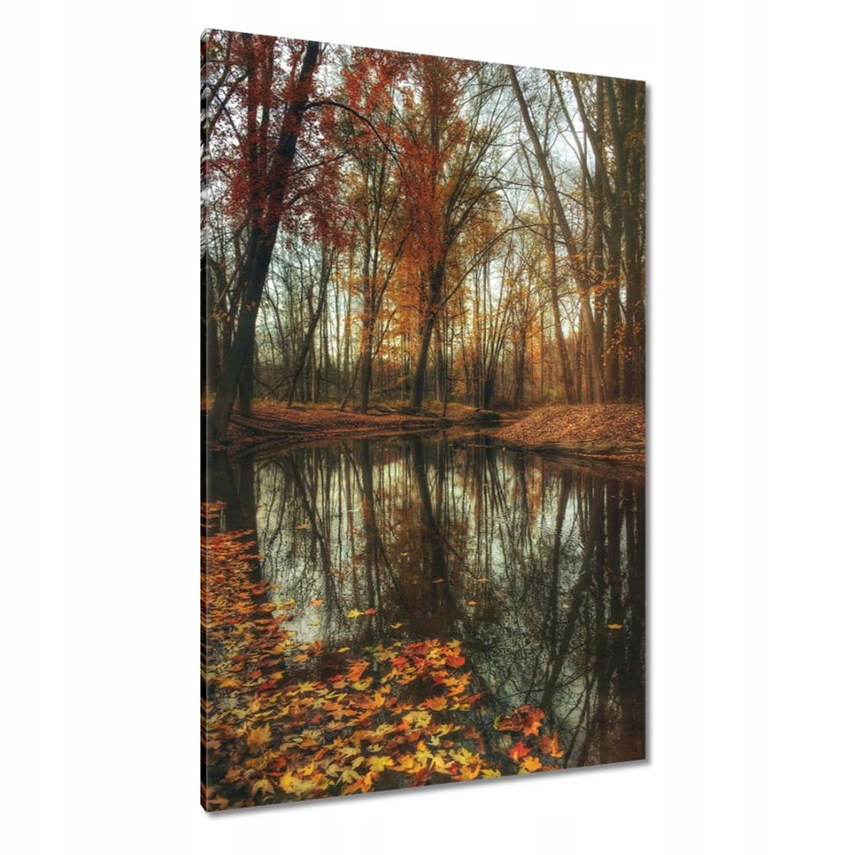 Obrazy 80x120 Podzimní krajina Krajina