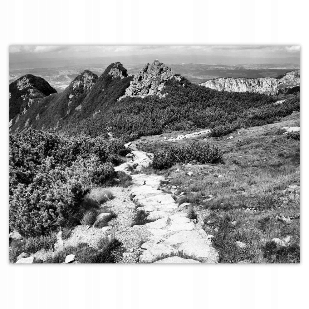 

Plakat 40x30 Tatry Polskie góry Widok