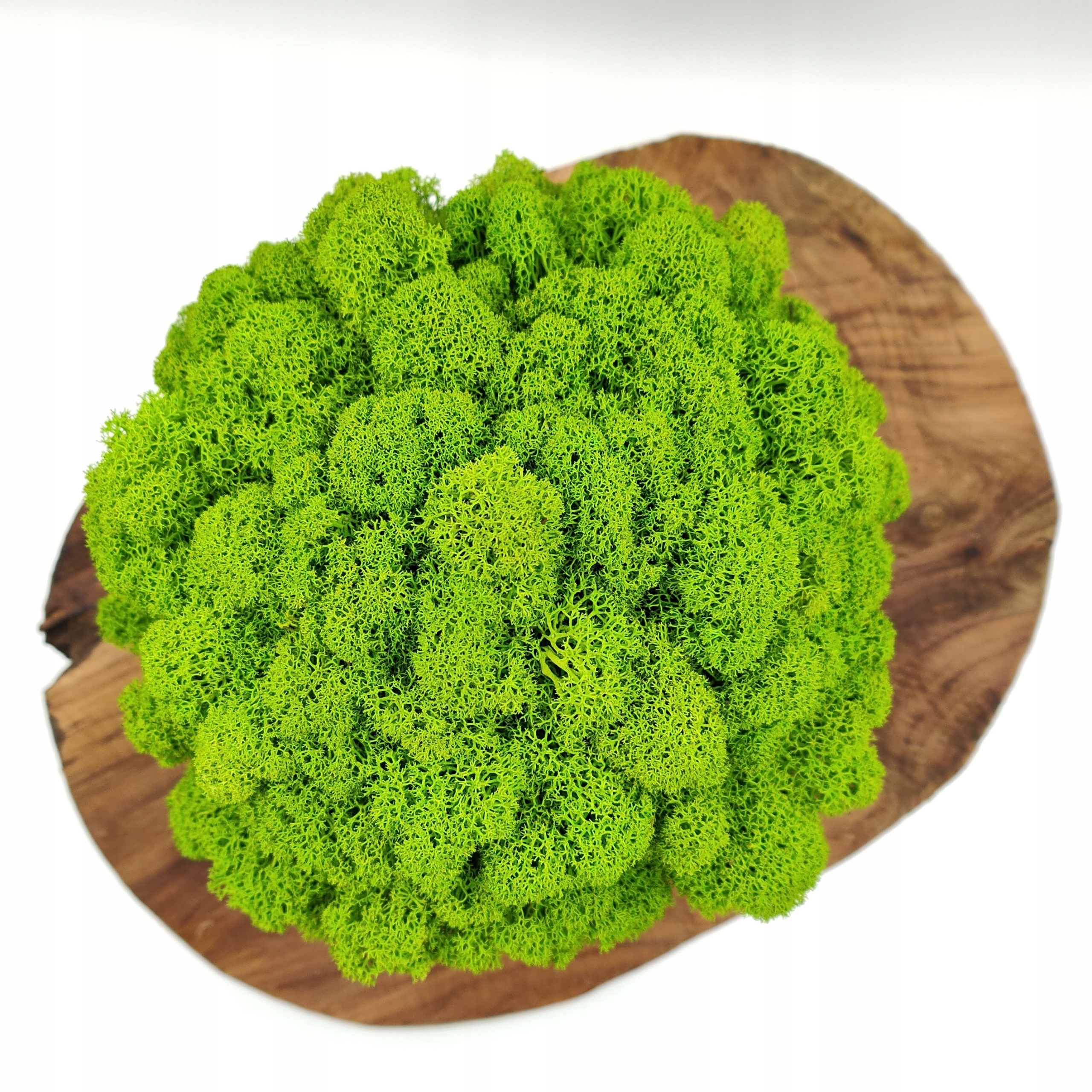 Doniczka z mchem chrobotkiem DUŻA MECH CHROBOTEK w doniczce druk 3d #2 Forma w doniczce, pojemniku