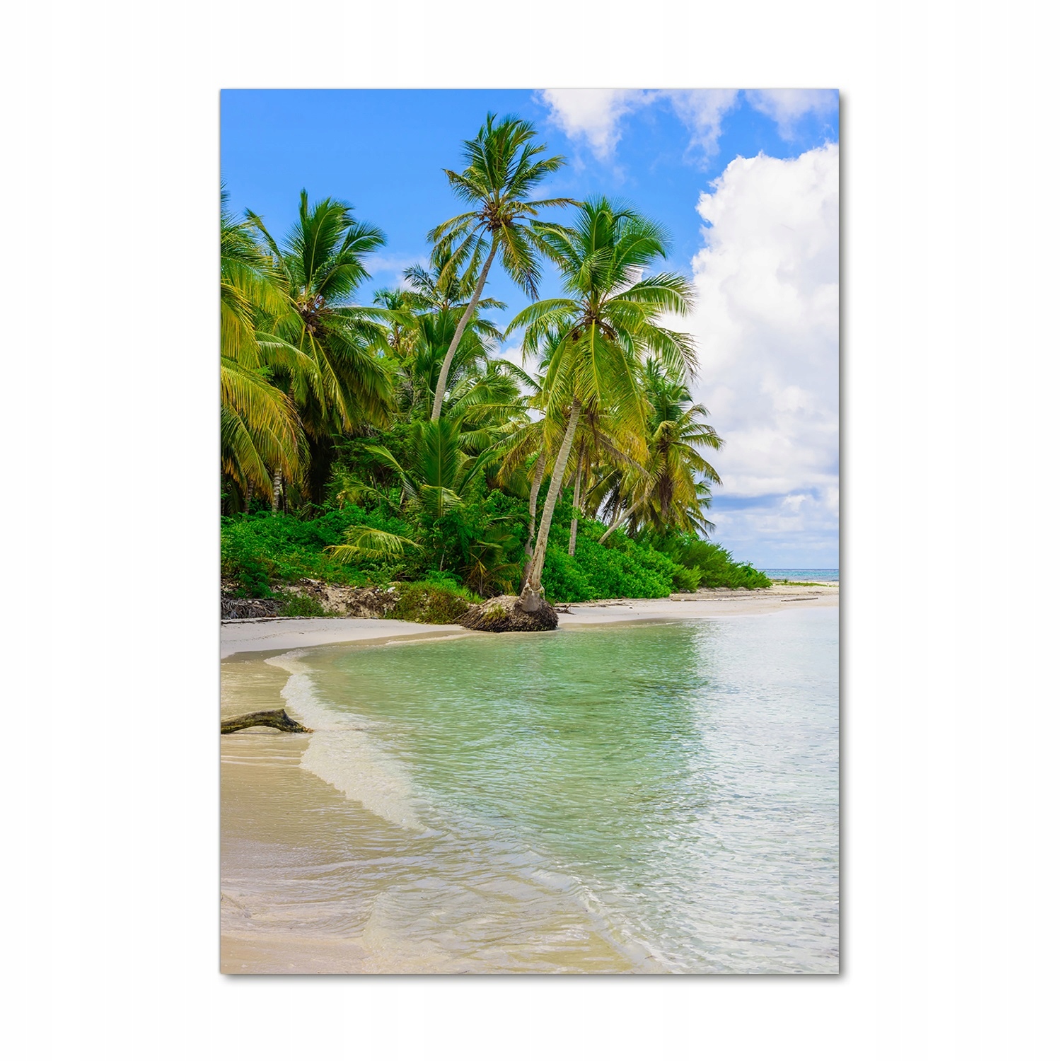

Foto obraz szkło akrylowe Tropikalna plaża 70x100