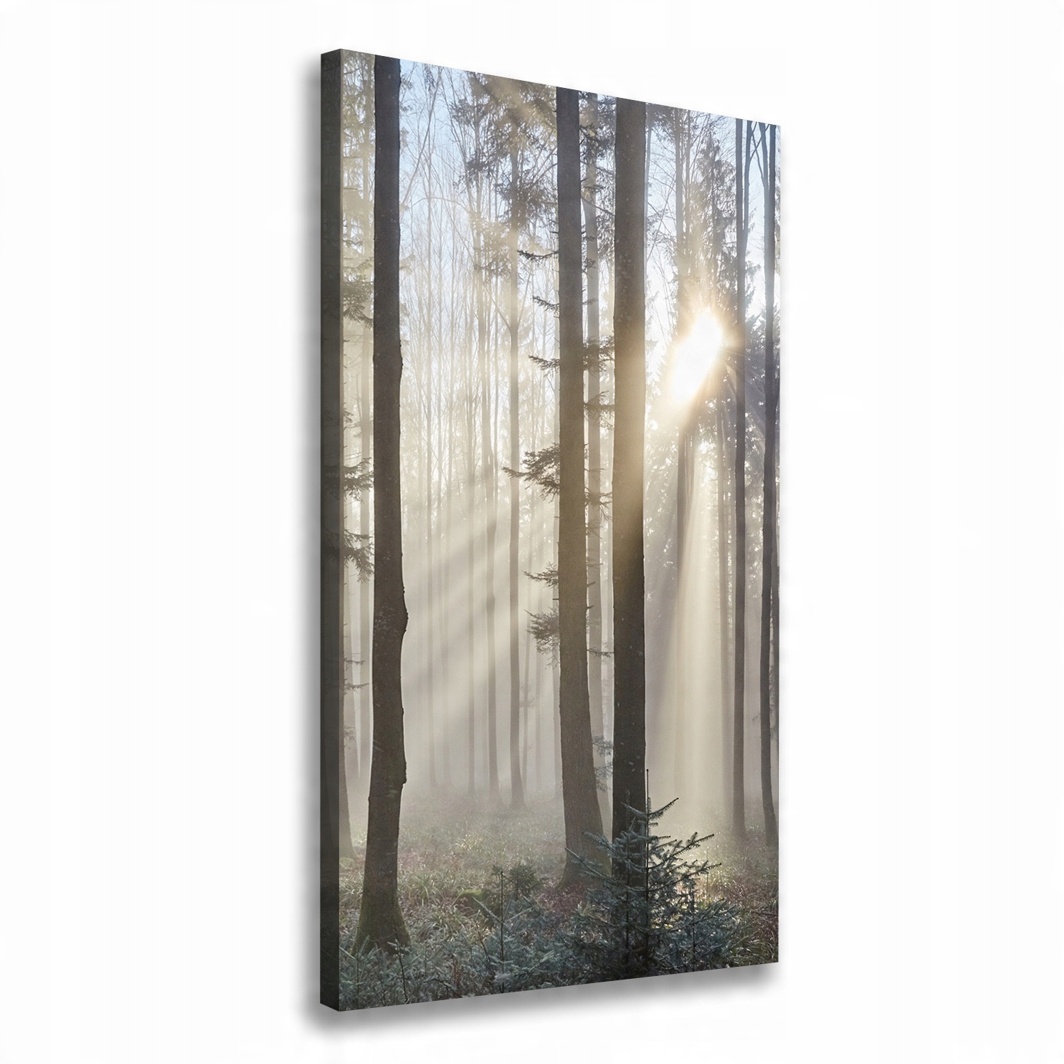 

Foto obraz canvas do salonu Mgła w lesie 50x100