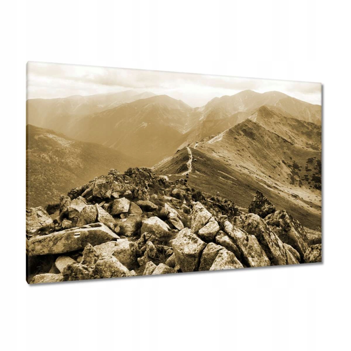 Obrazy 120x80 Tatry Polské hory Pohled