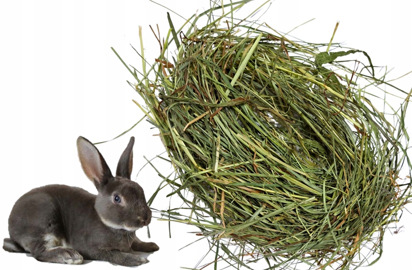 Zelené seno maďarské pro králíka miniatury králíků krmivo 8 kg