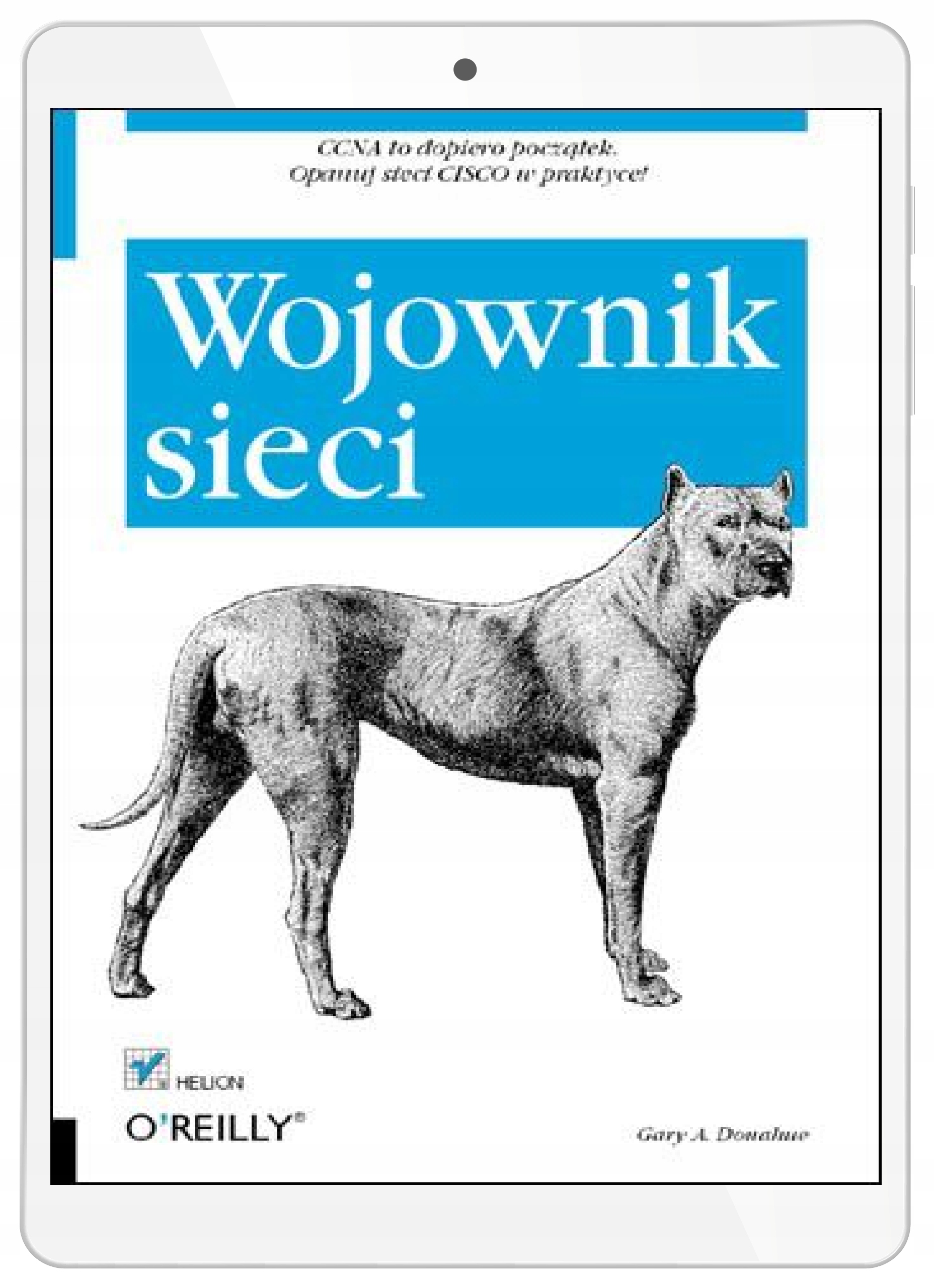 Wojownik sieci