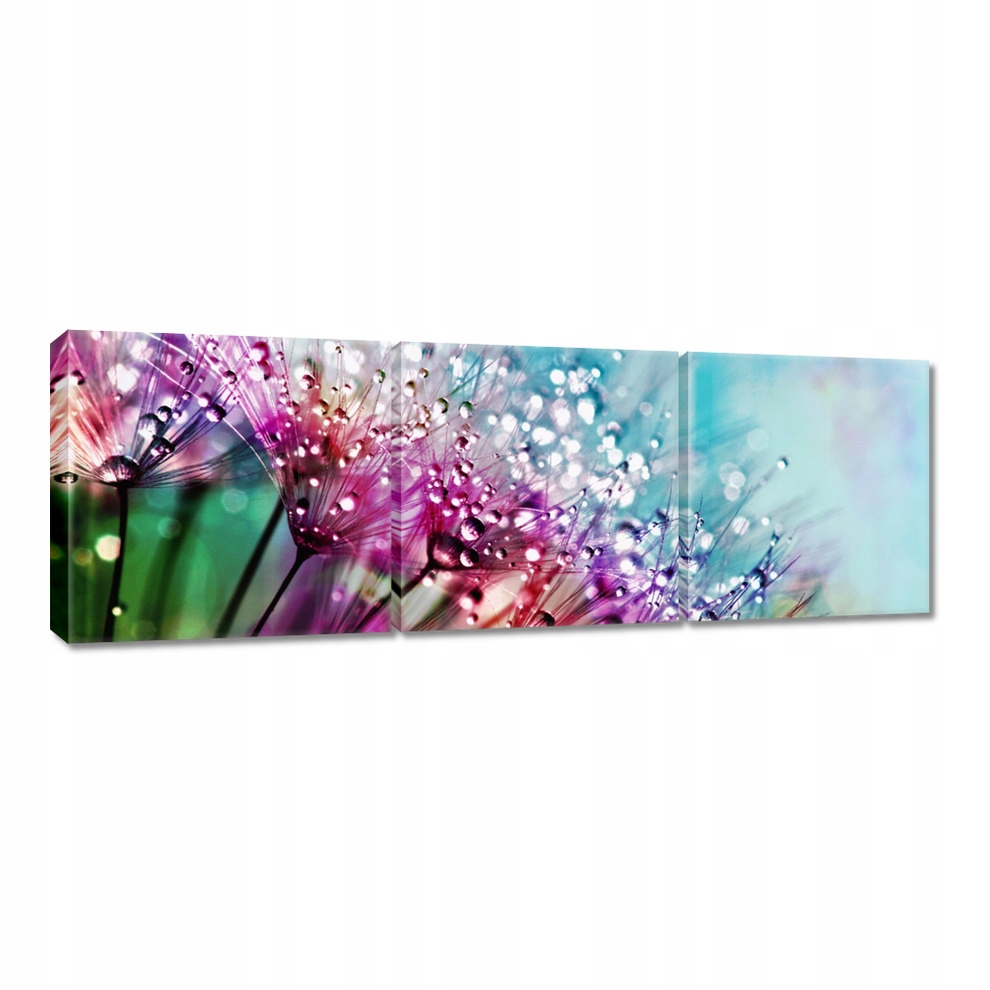 

Obrazy 90x30 Krople rosy Dmuchawiec
