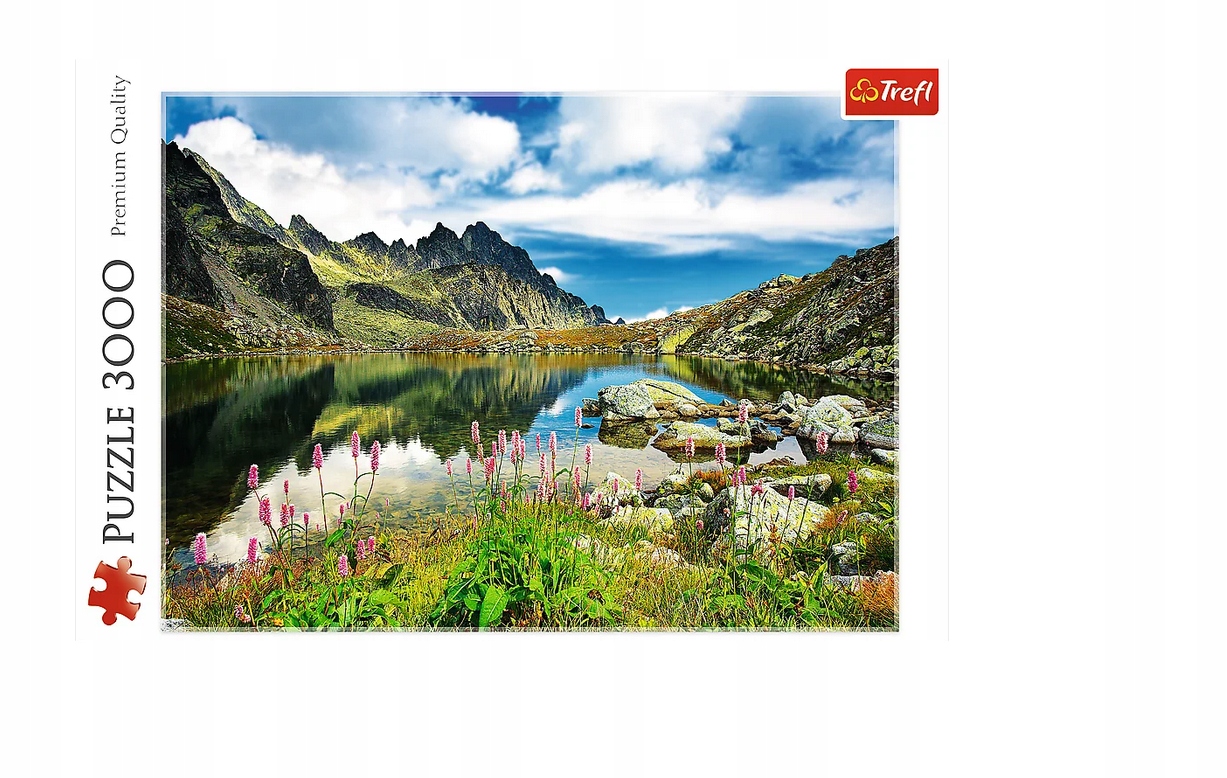 PUZZLE 3000 STAROLEŚNIAŃSKI STAW 33031 TREFL Rodzaj 2D