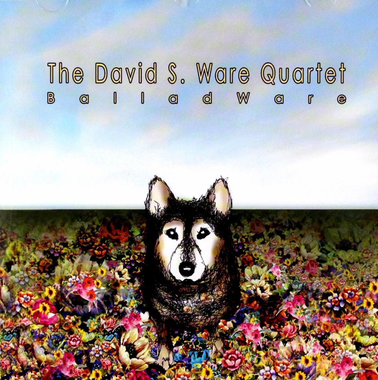 David S. Quartet Ware: Balladware [CD]