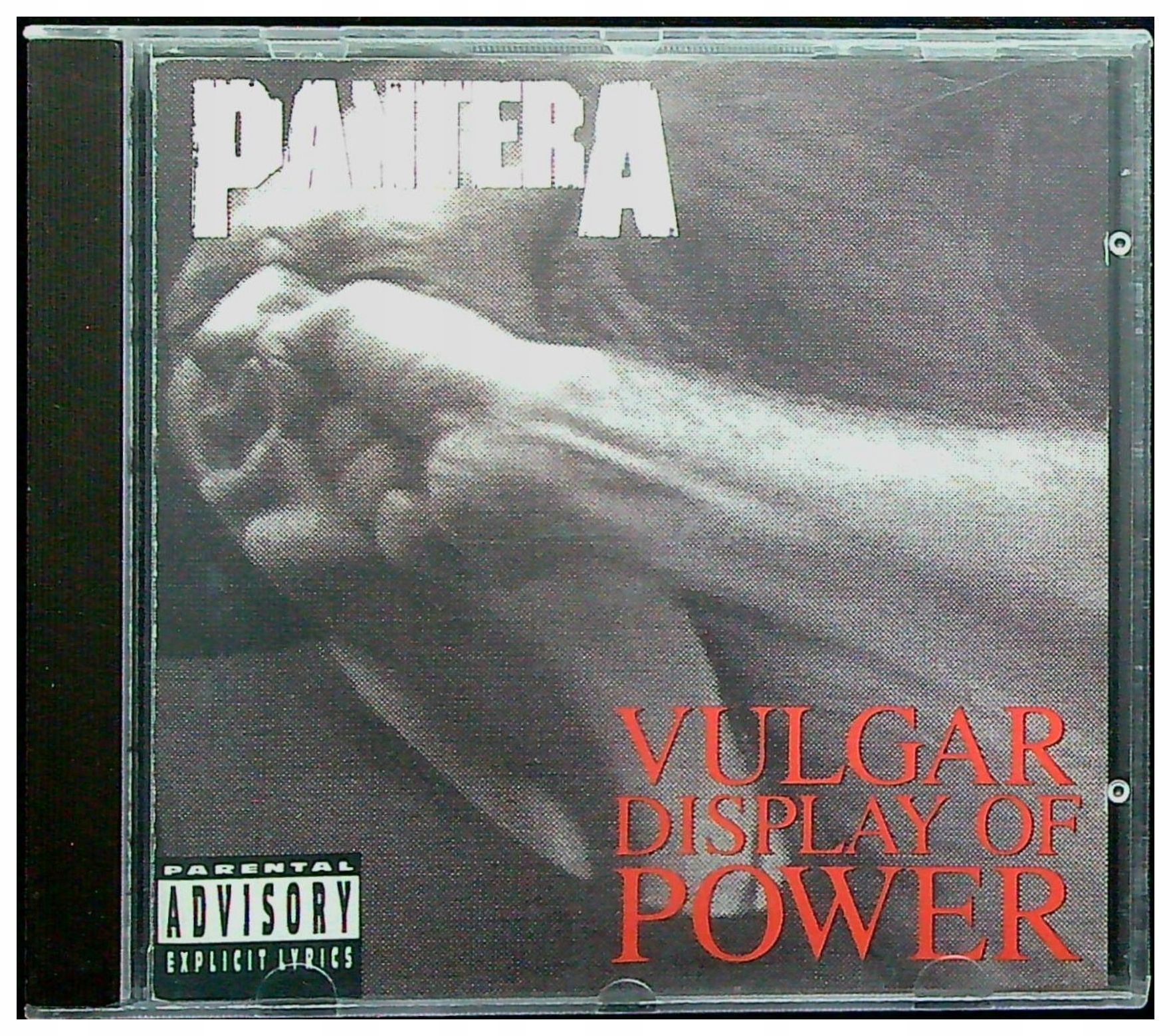 Pantera Power Metal - Muzyka - Allegro.pl
